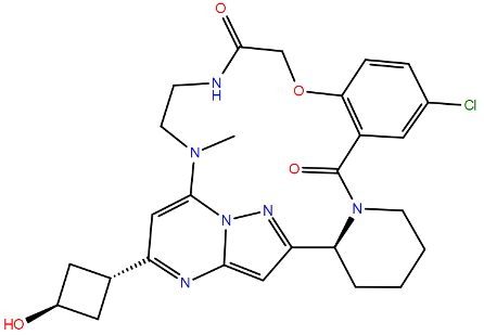 Viruses 17 00793 i005