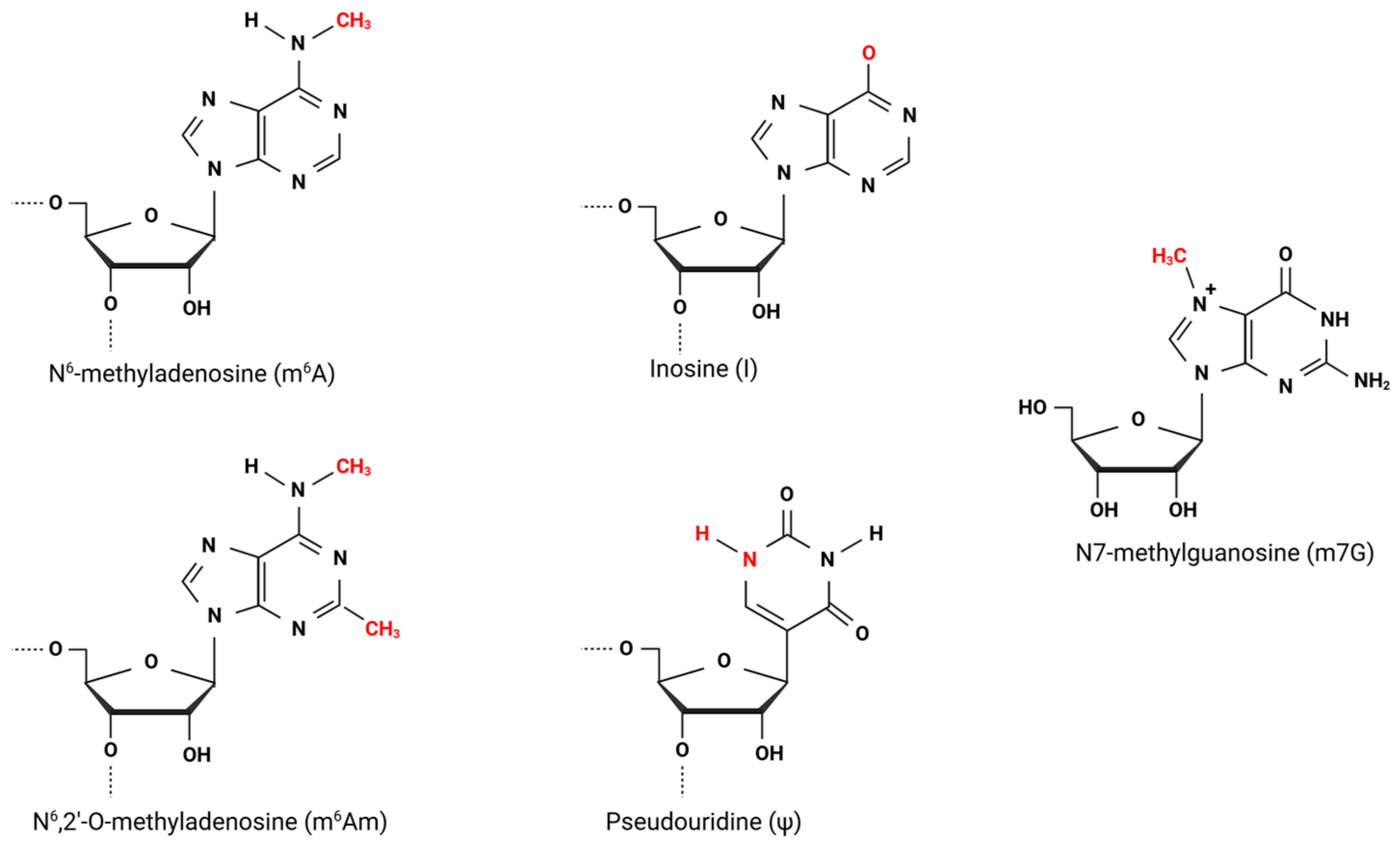Viruses 17 00795 g001 Viruses 17 00795 g001