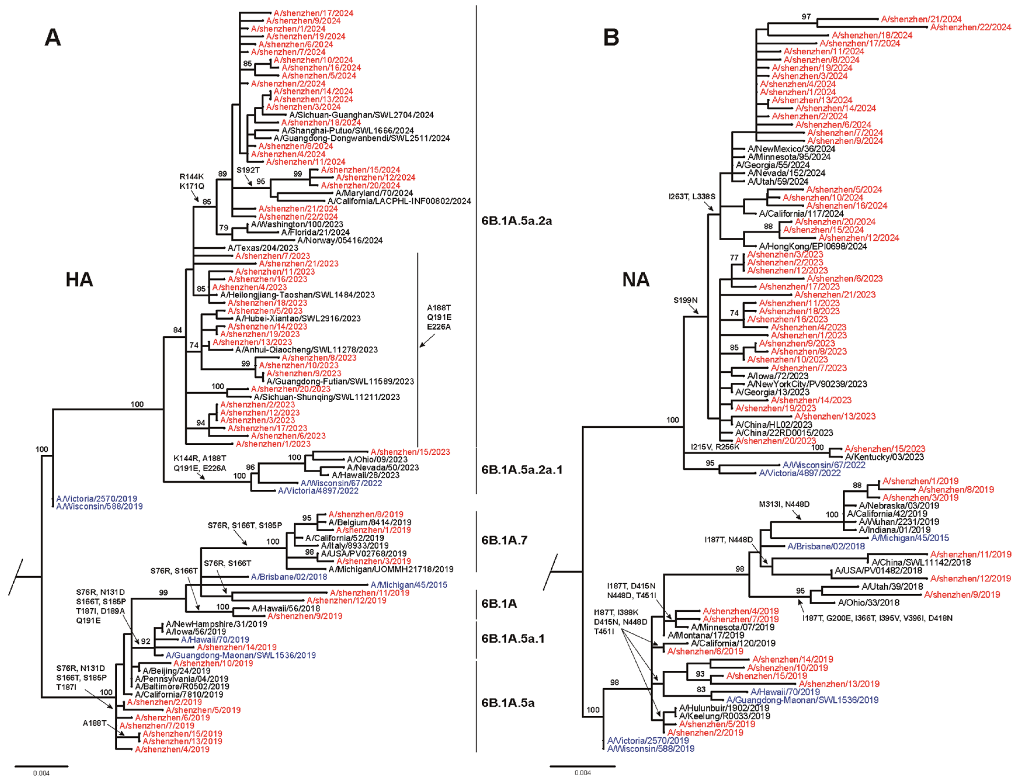 Viruses 17 00798 g002