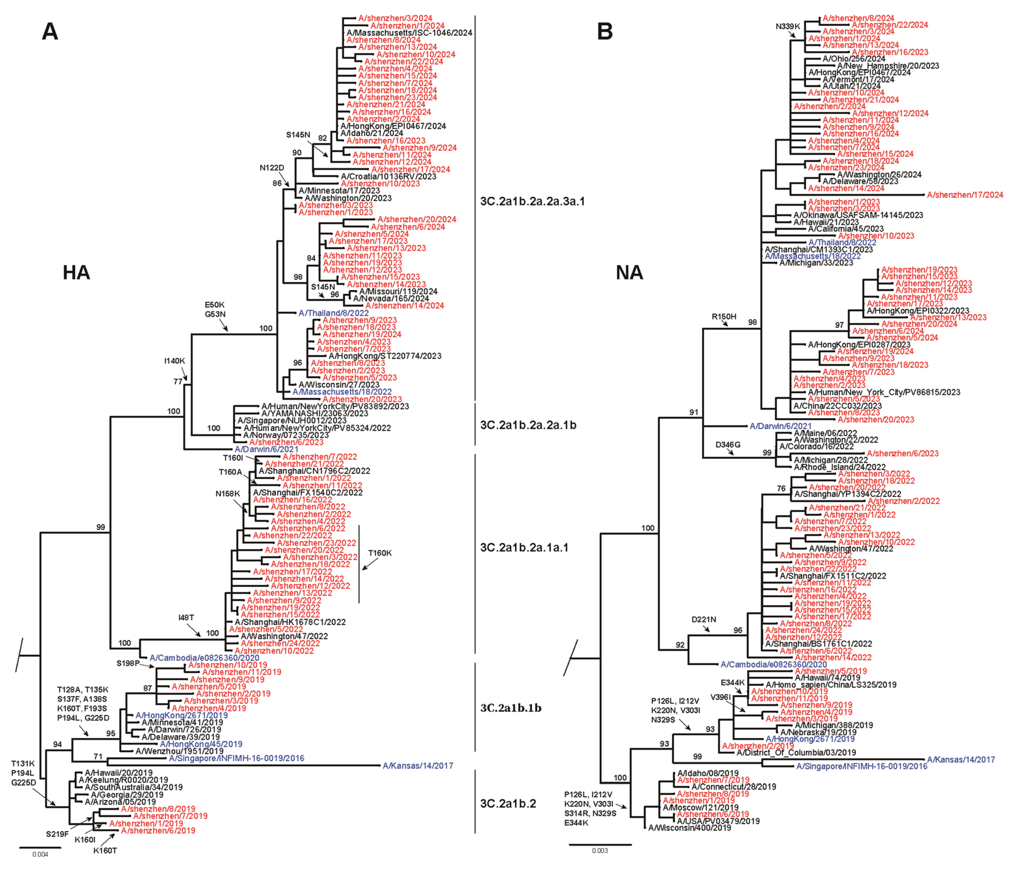 Viruses 17 00798 g003
