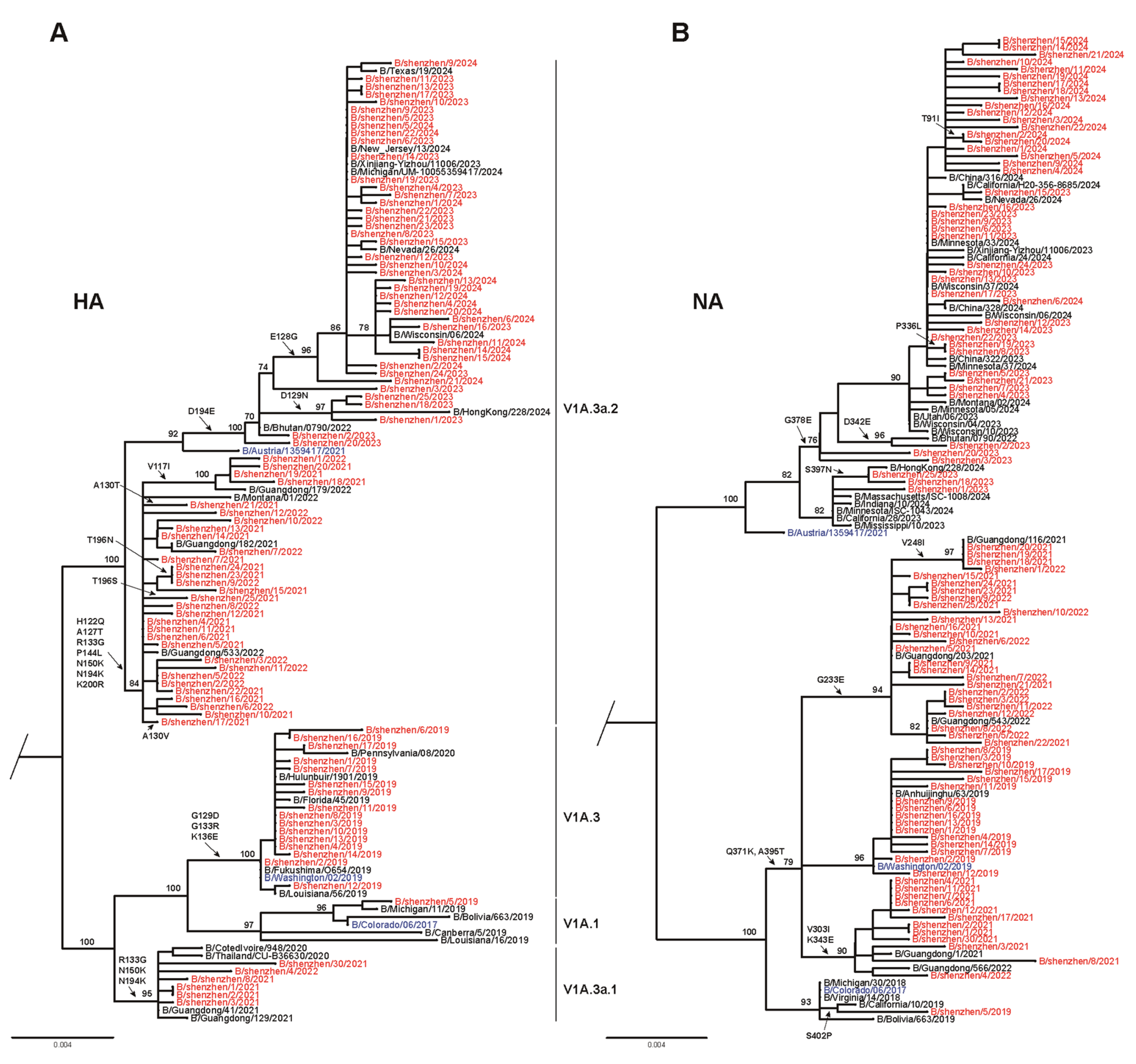 Viruses 17 00798 g004