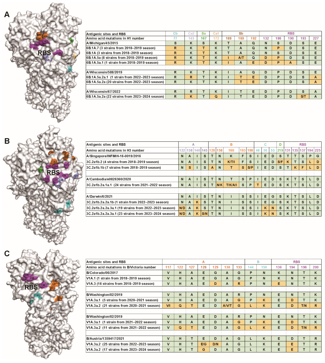 Viruses 17 00798 g005