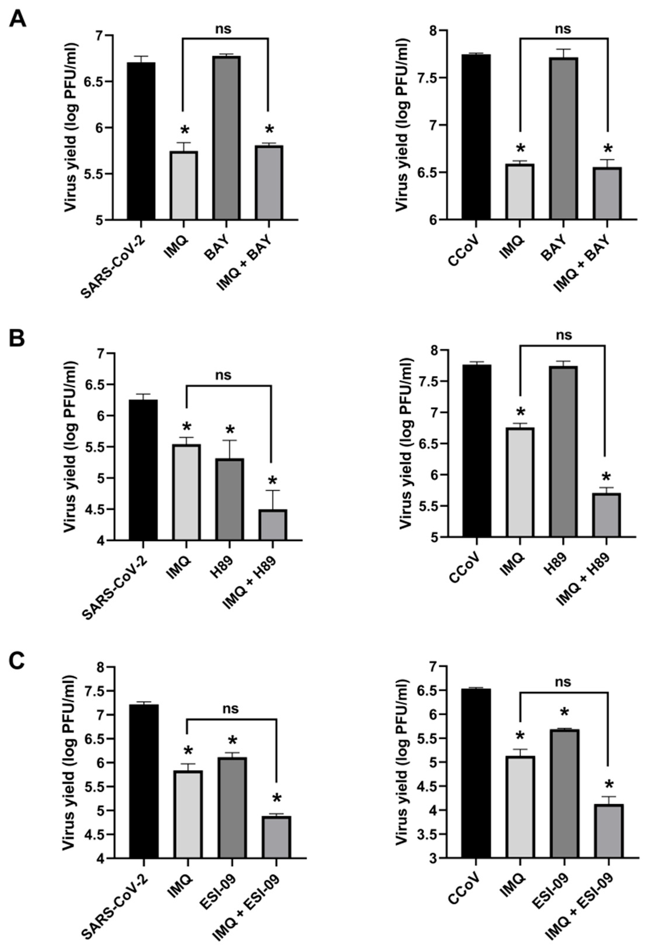 Viruses 17 00801 g003