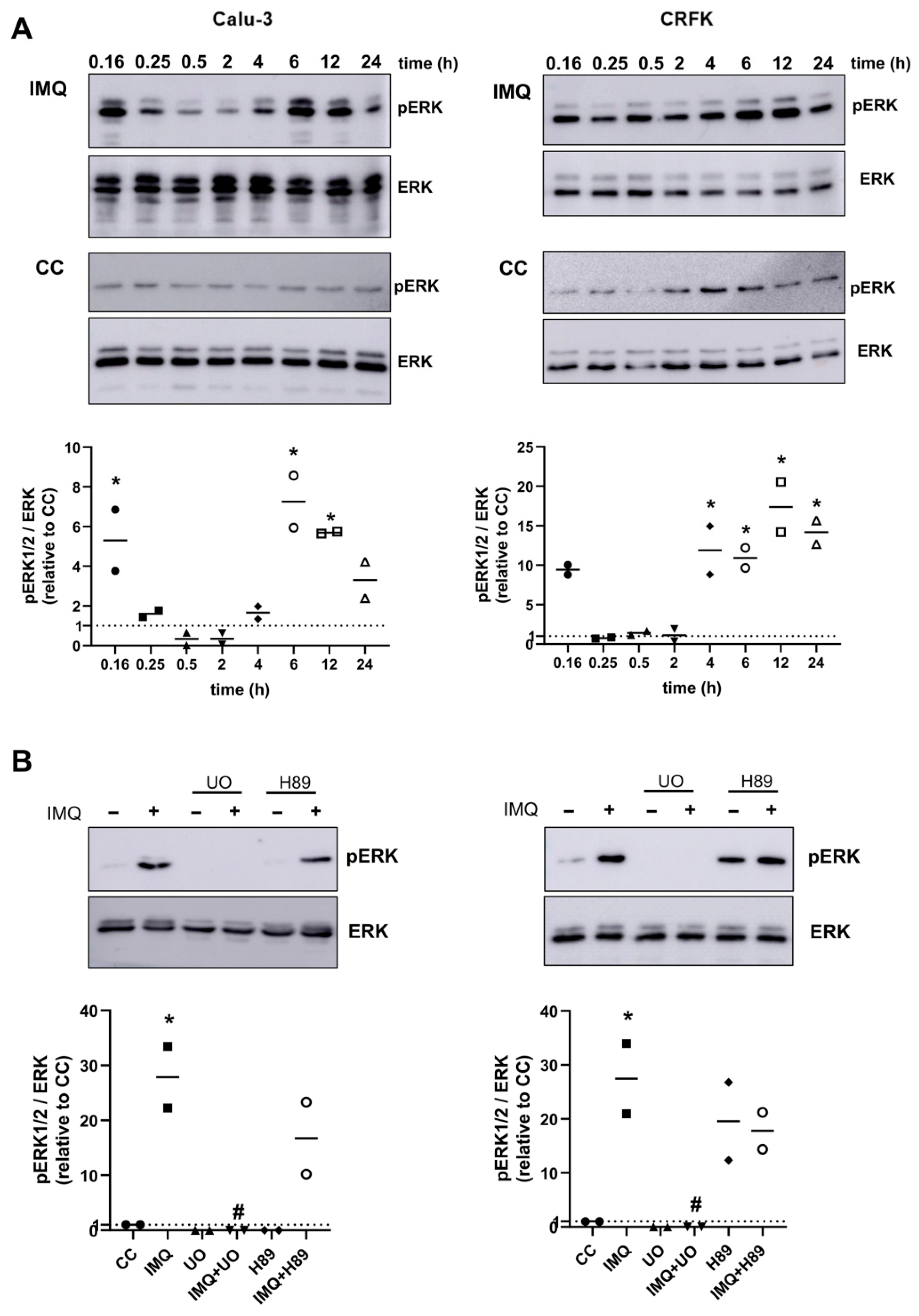 Viruses 17 00801 g006