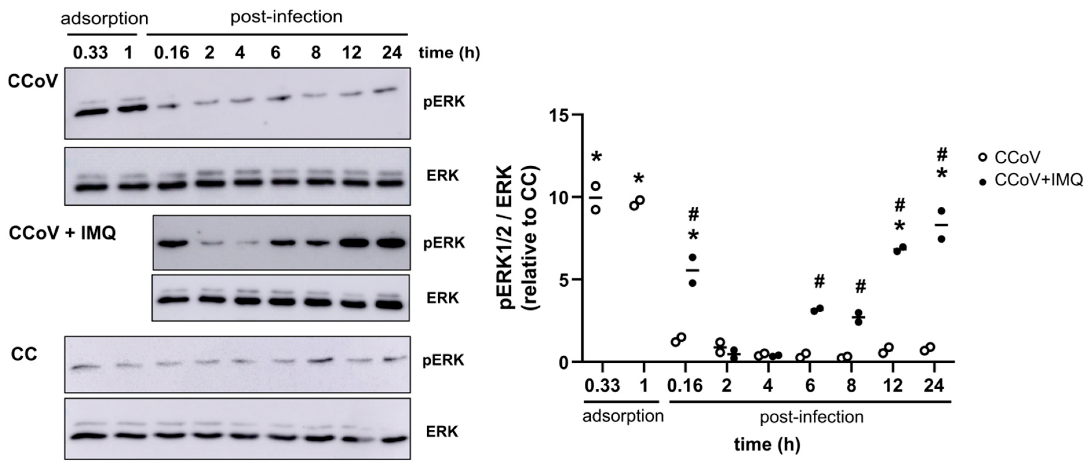 Viruses 17 00801 g008