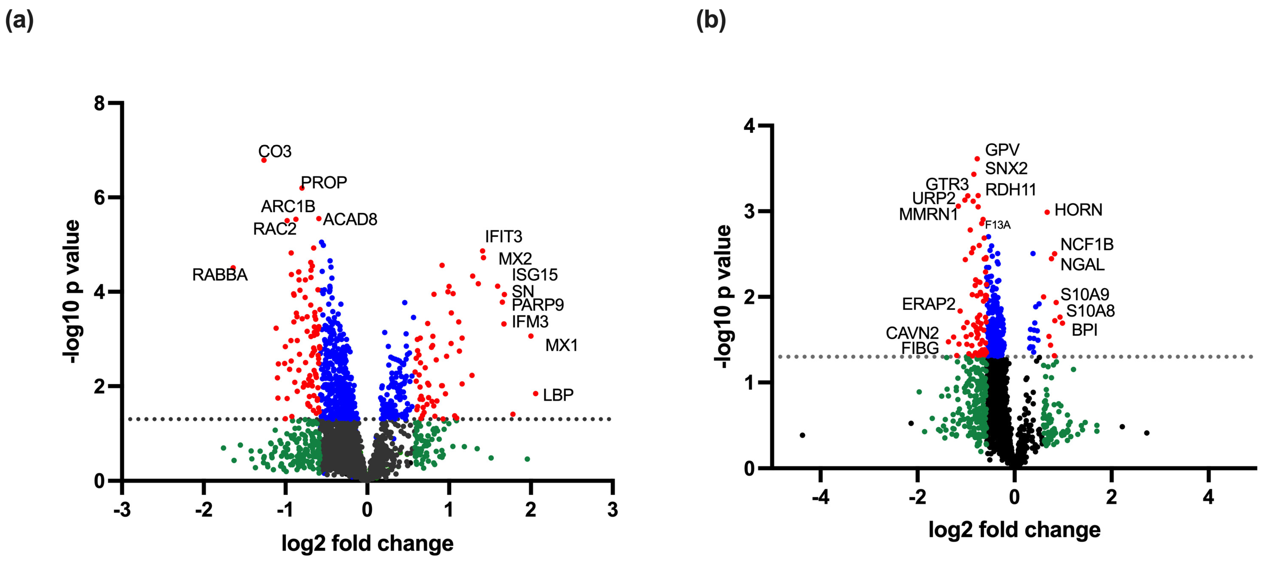 Viruses 17 00805 g001 Viruses 17 00805 g001