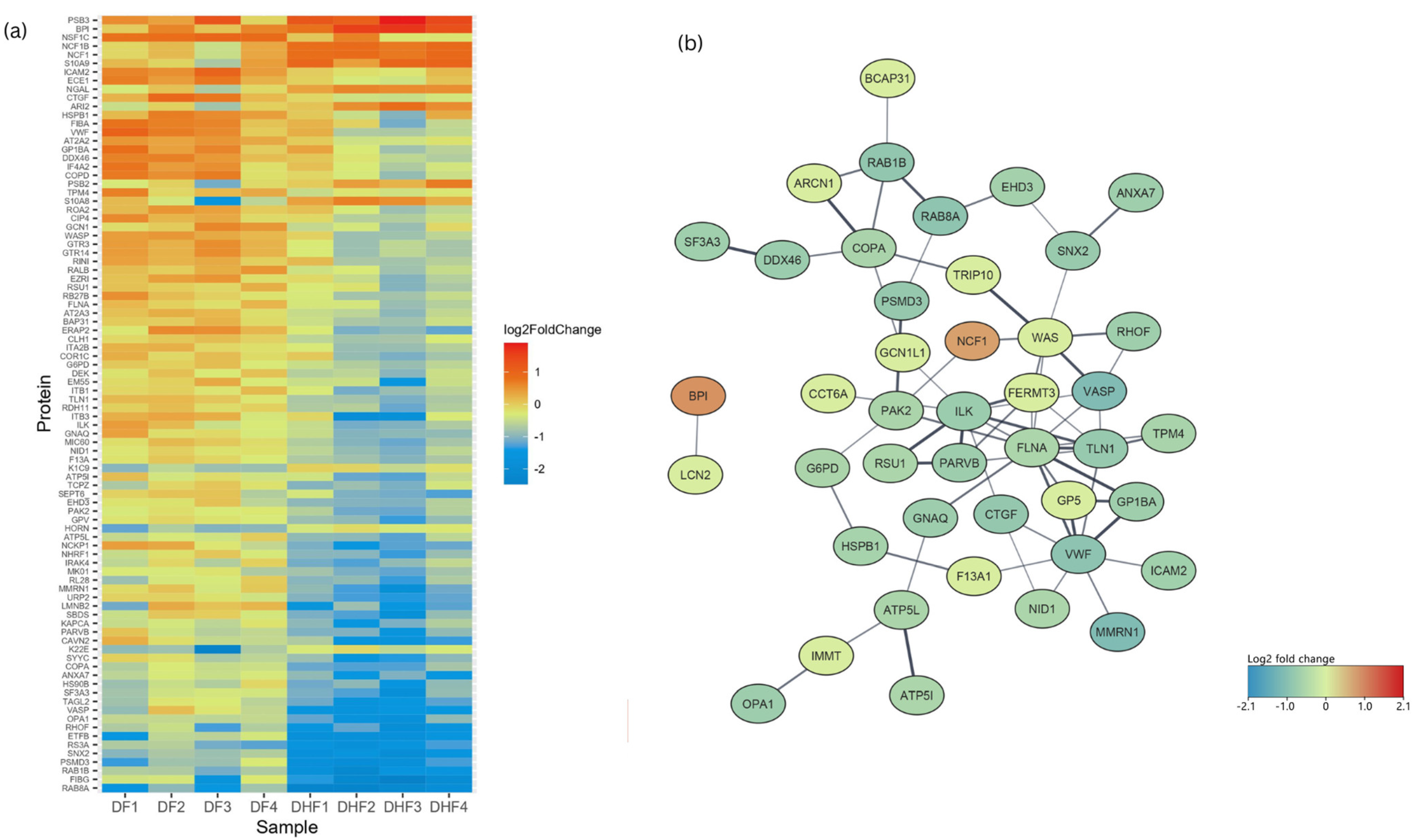Viruses 17 00805 g004 Viruses 17 00805 g004