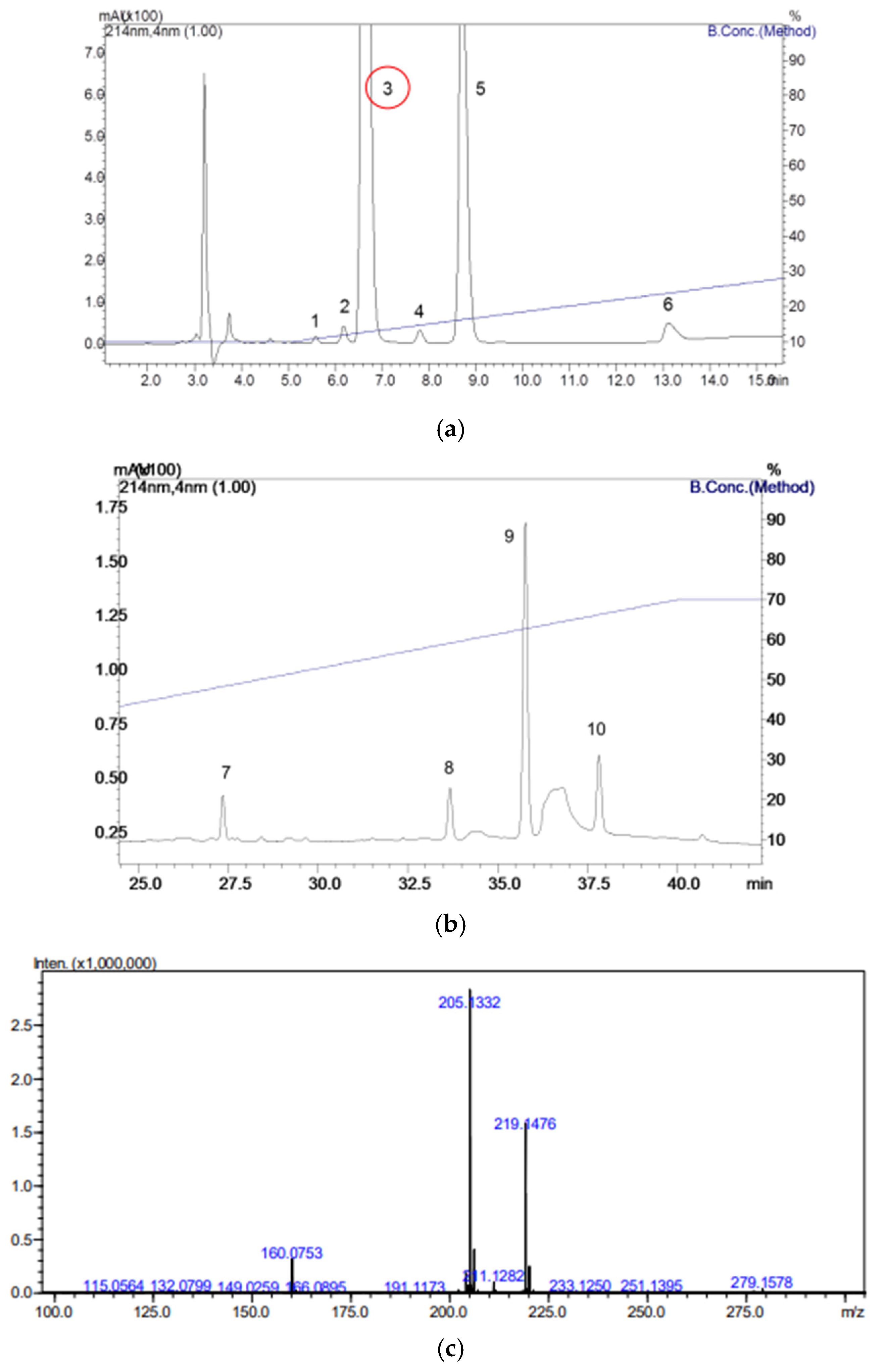 Viruses 17 00808 g001
