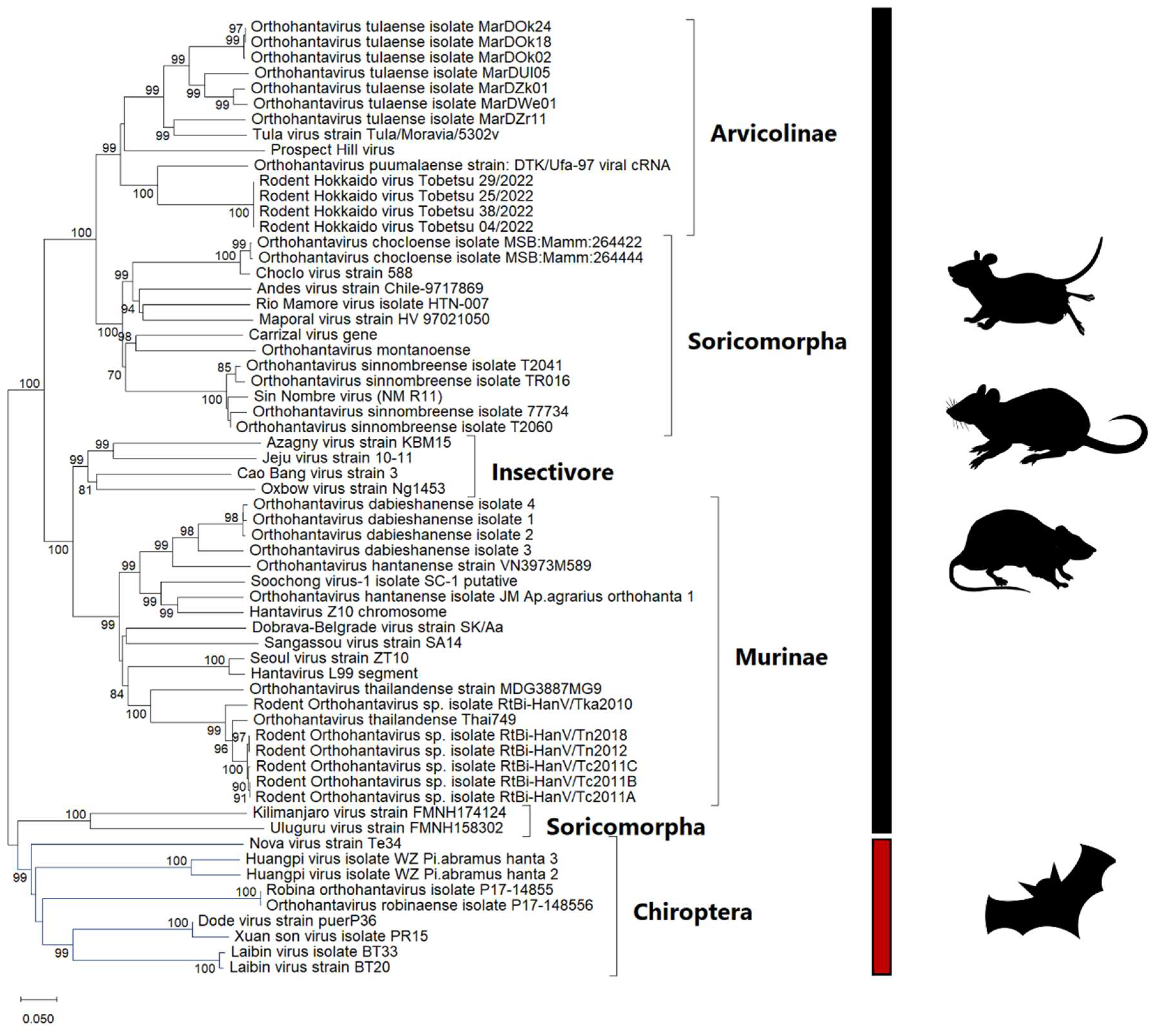 Viruses 17 00809 g001 Viruses 17 00809 g001