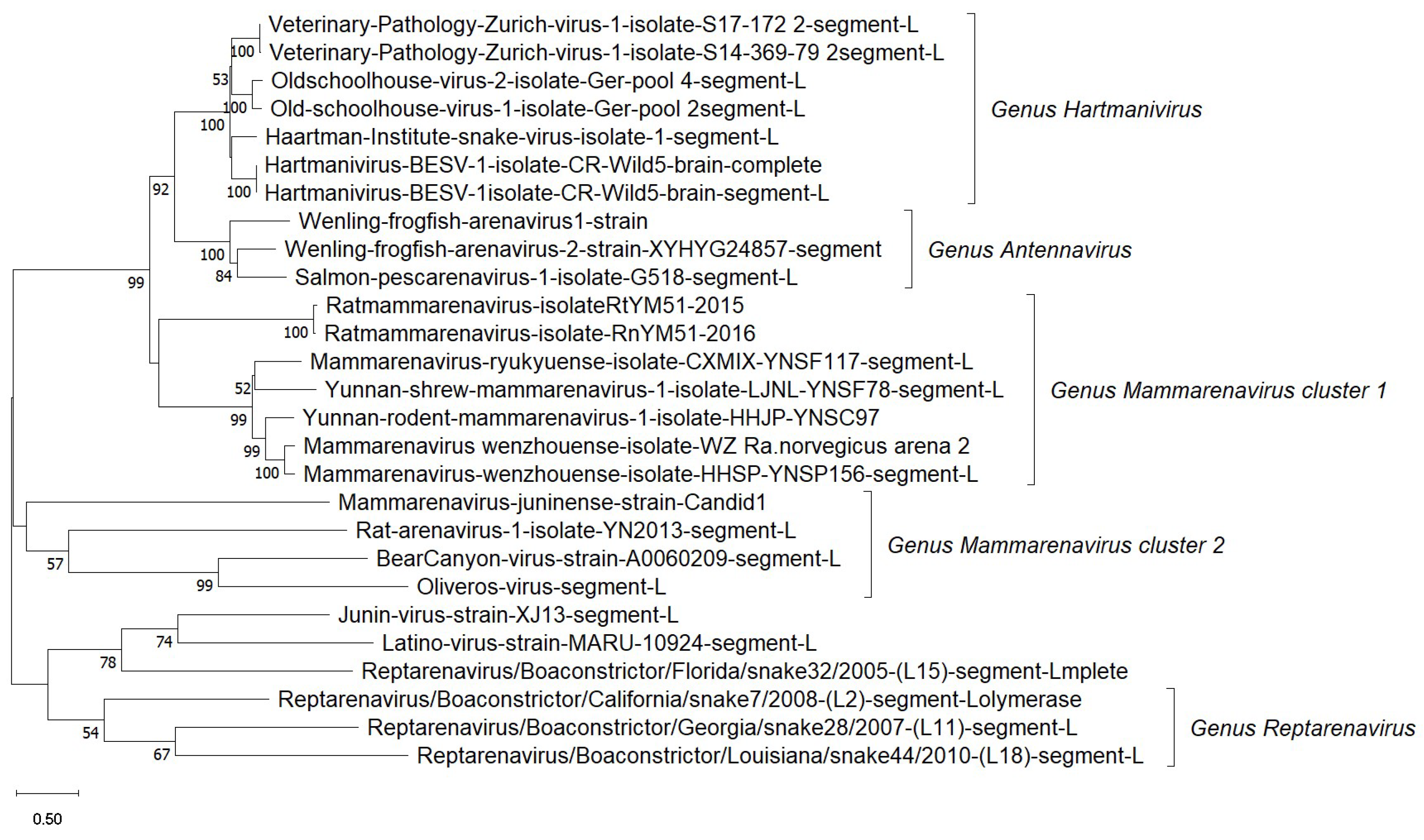 Viruses 17 00809 g003 Viruses 17 00809 g003