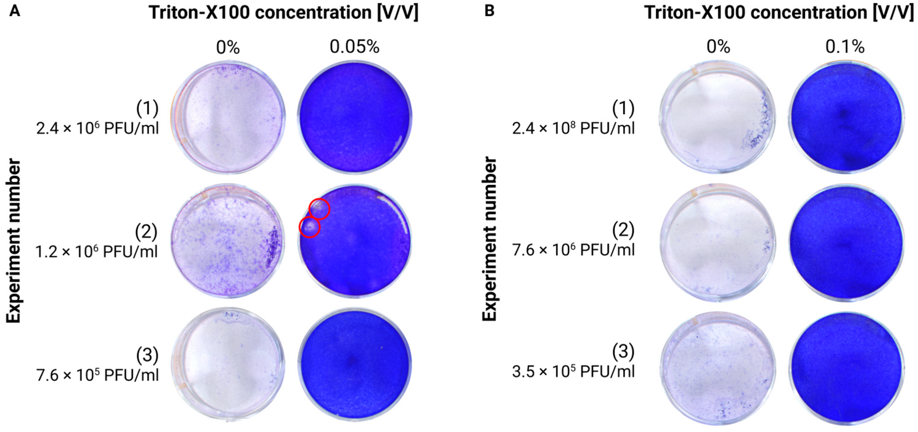 Viruses 17 00810 g003