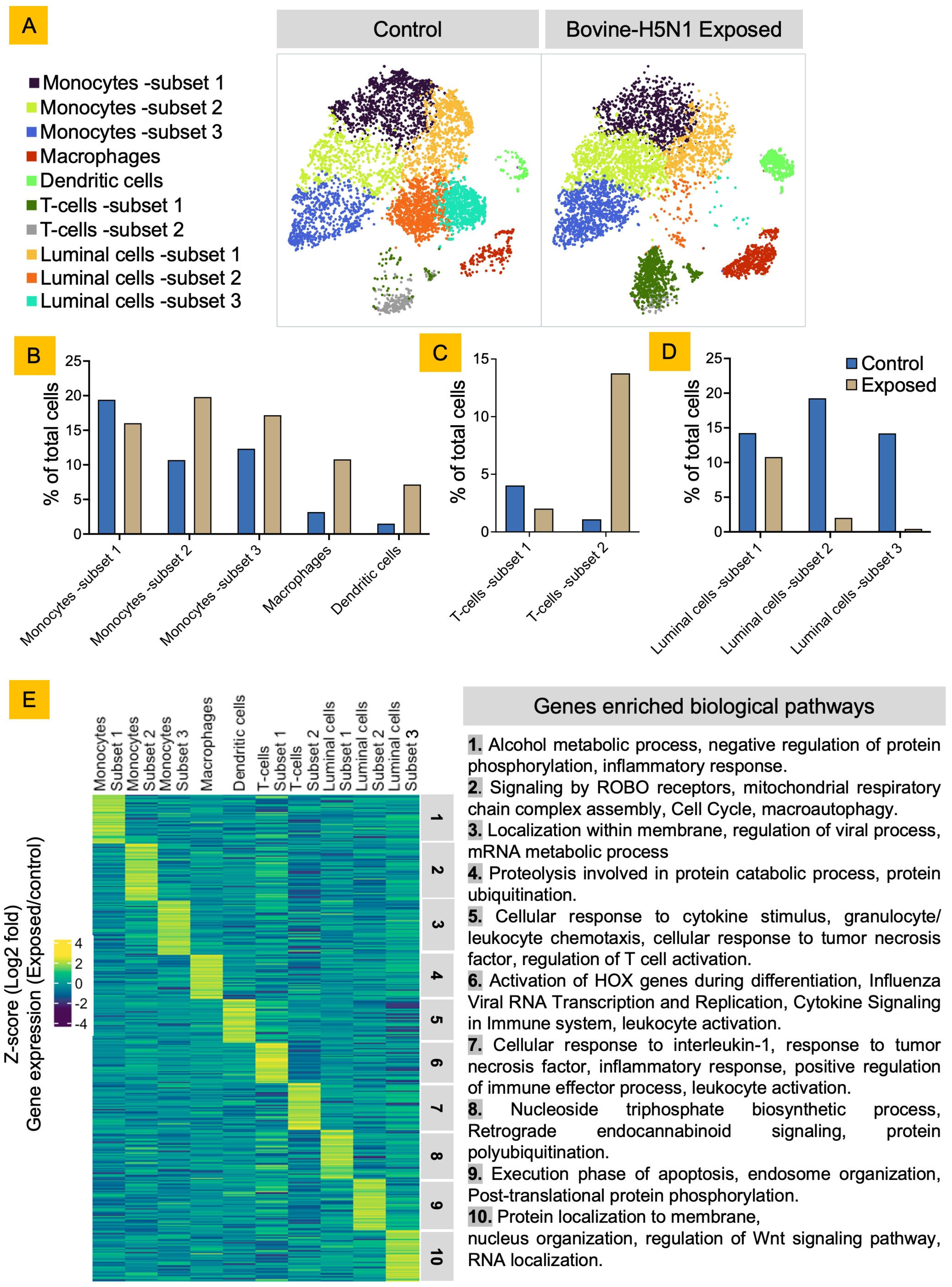 Viruses 17 00811 g002