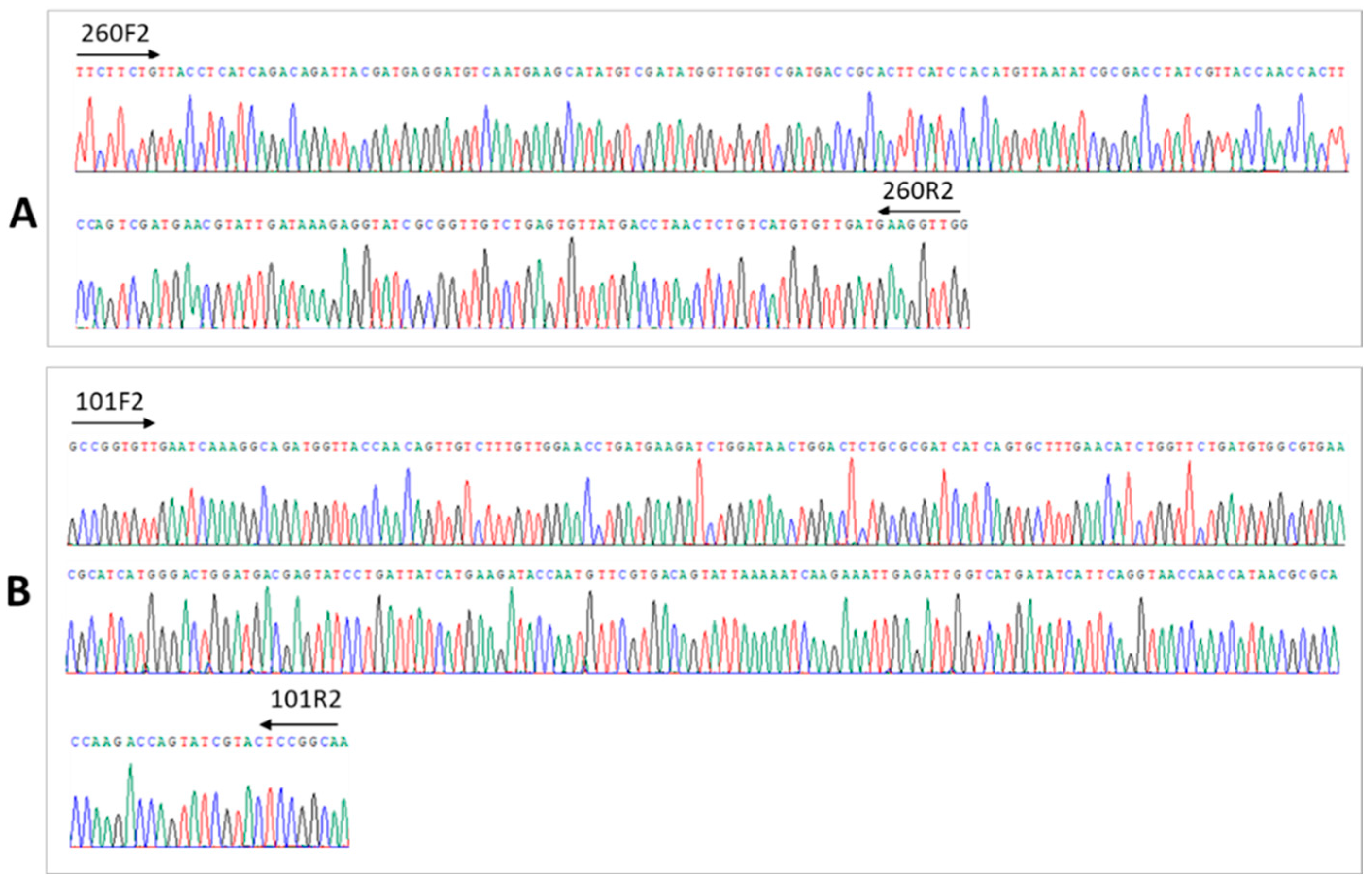 Viruses 17 00812 g002