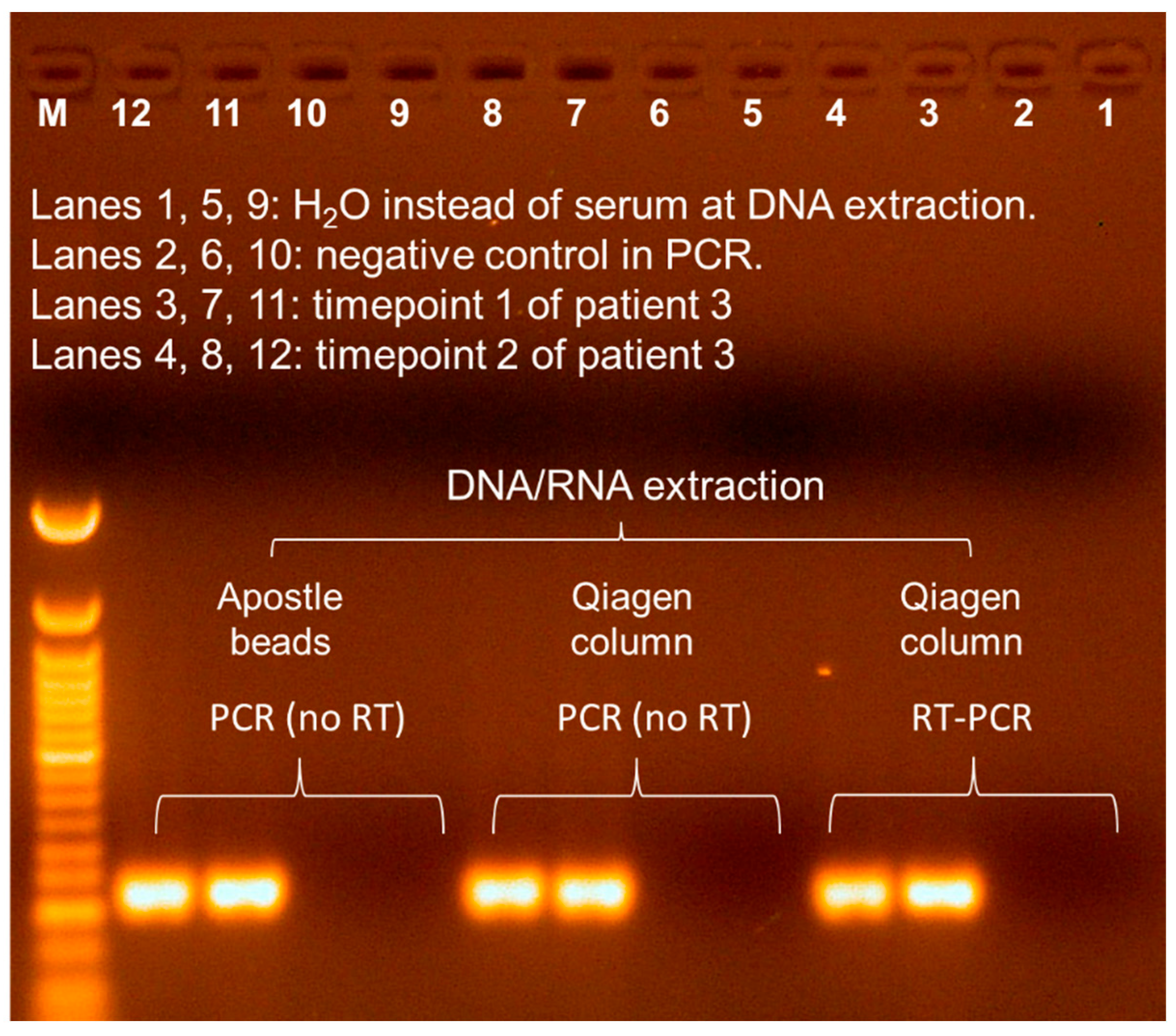 Viruses 17 00812 g003