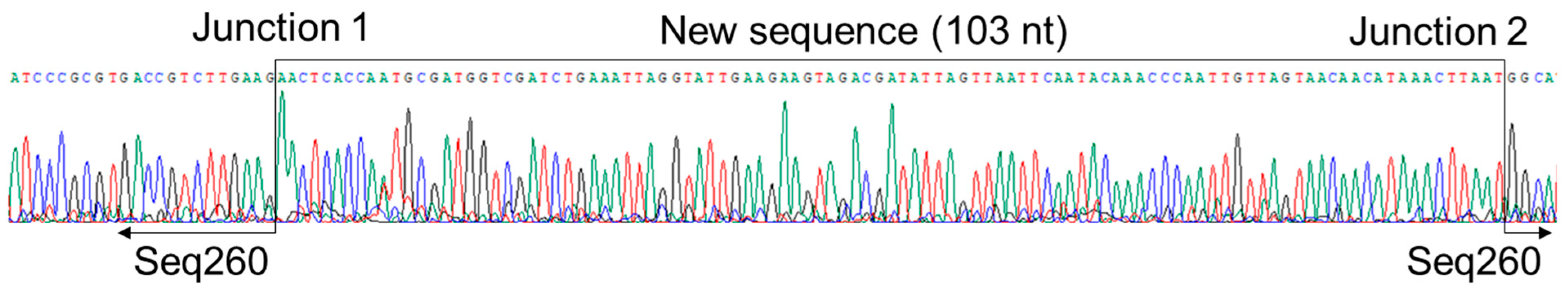Viruses 17 00812 g004