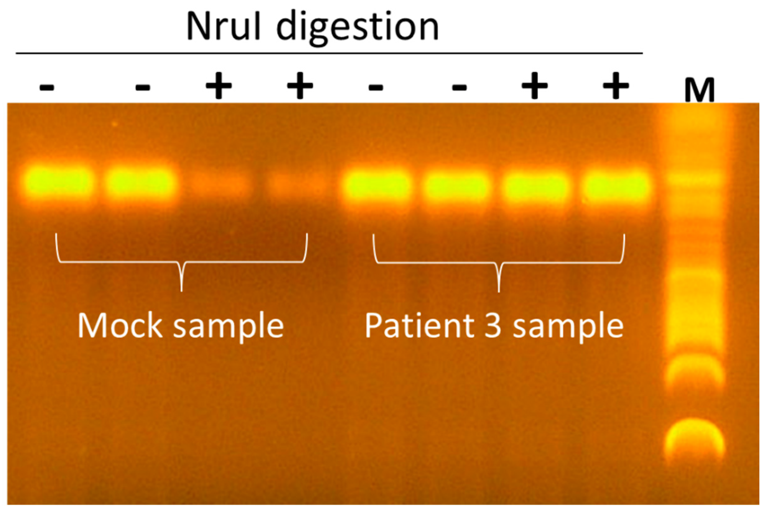 Viruses 17 00812 g005