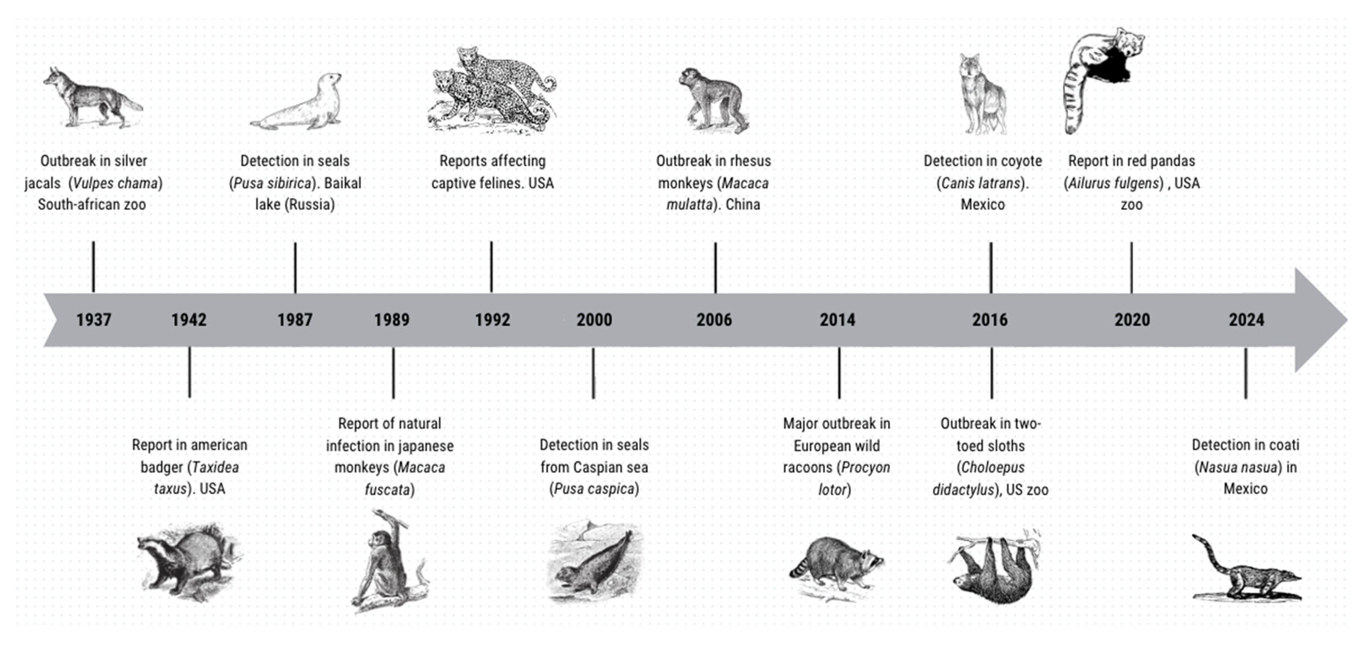Viruses 17 00813 g001