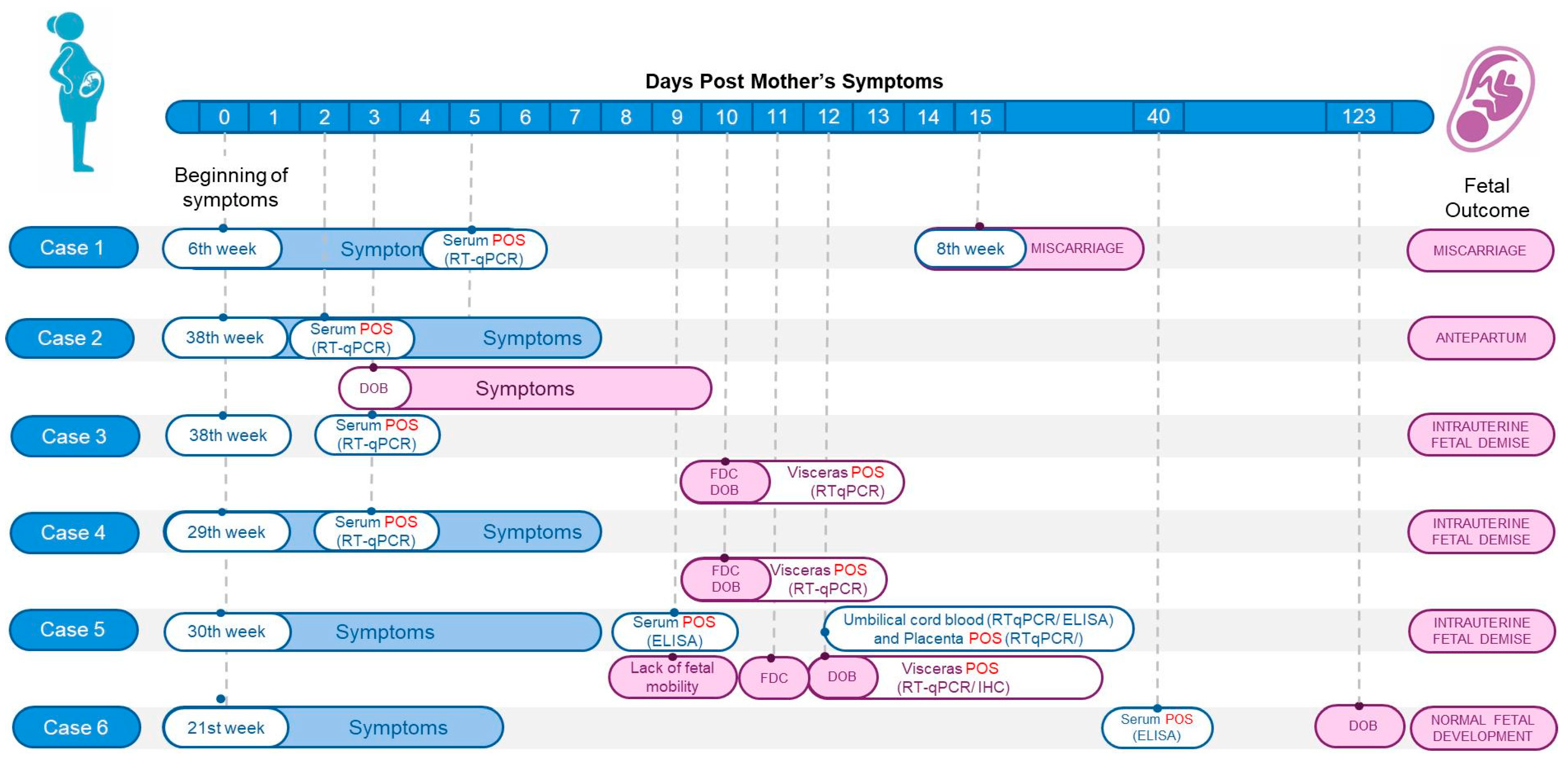 Viruses 17 00816 g001