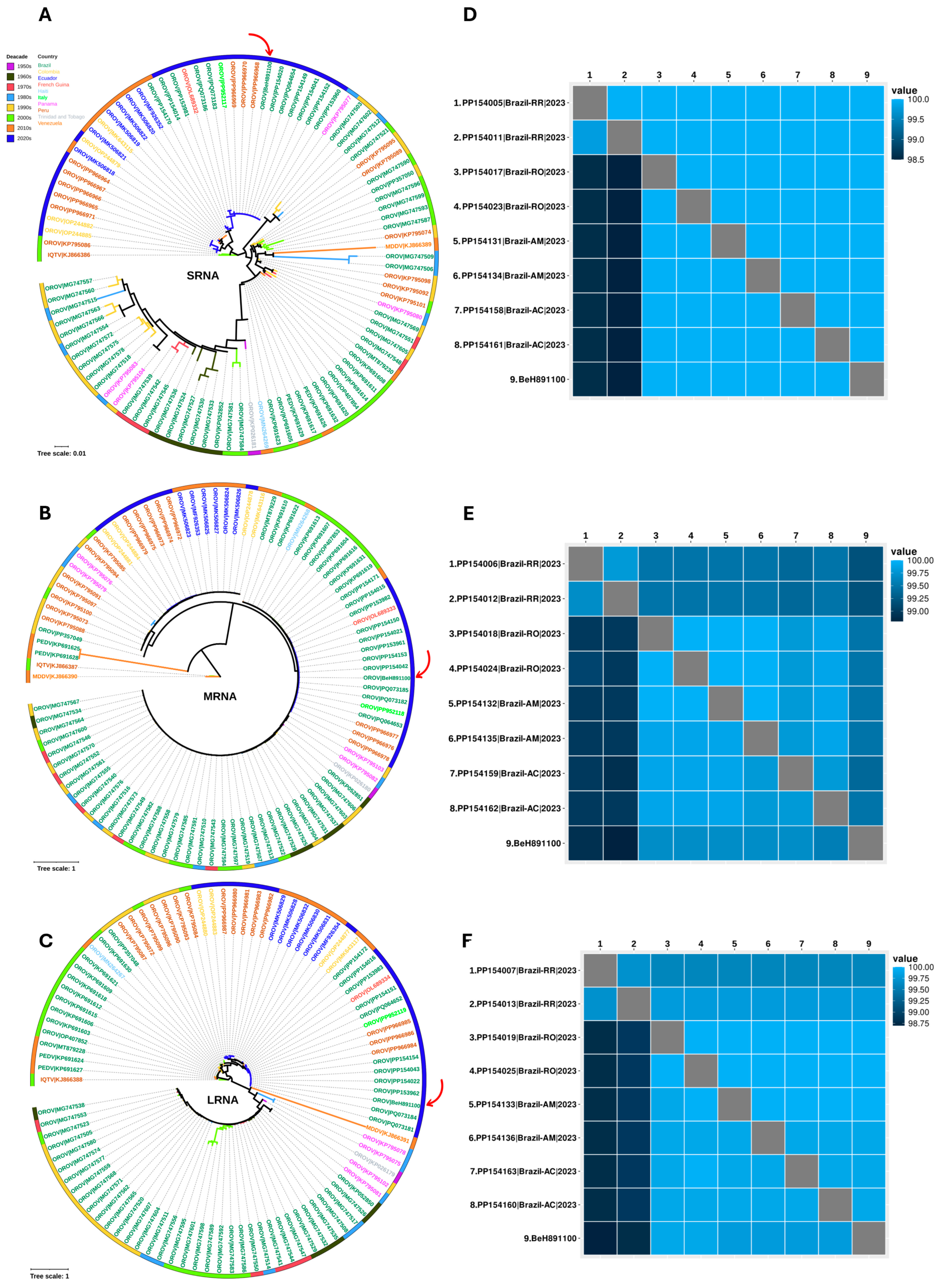 Viruses 17 00816 g004