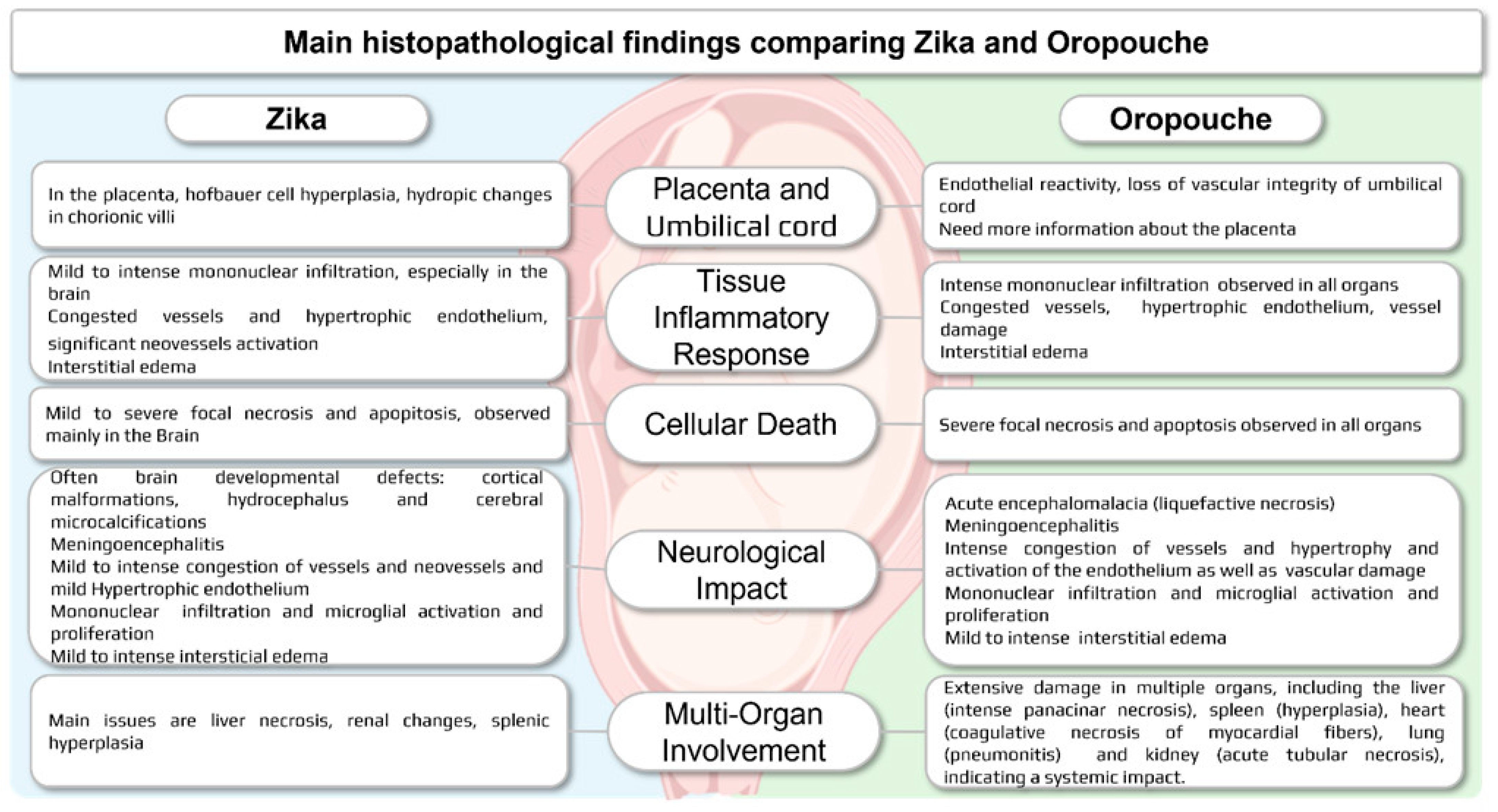 Viruses 17 00816 g005