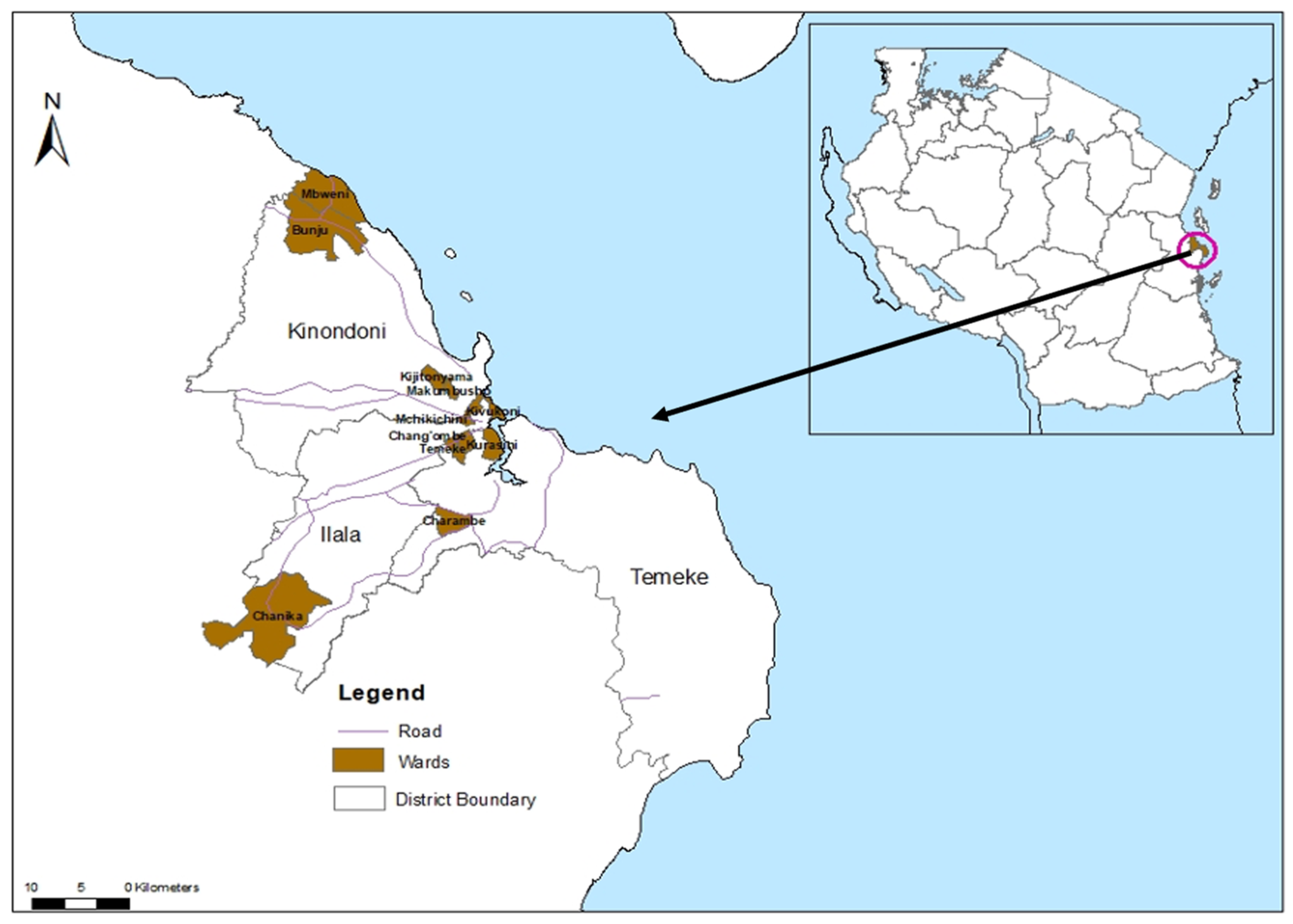 Viruses 17 00818 g001