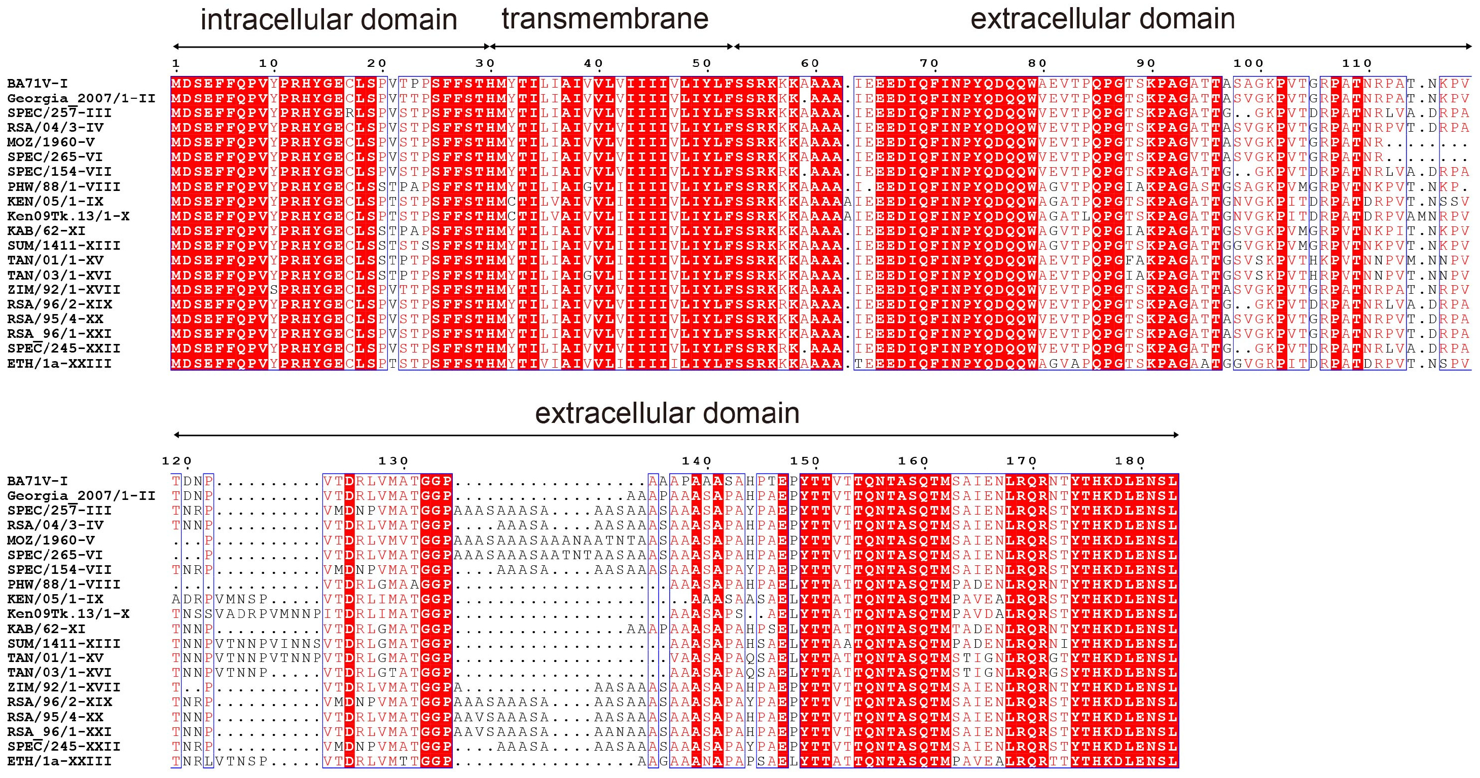 Viruses 17 00823 g001