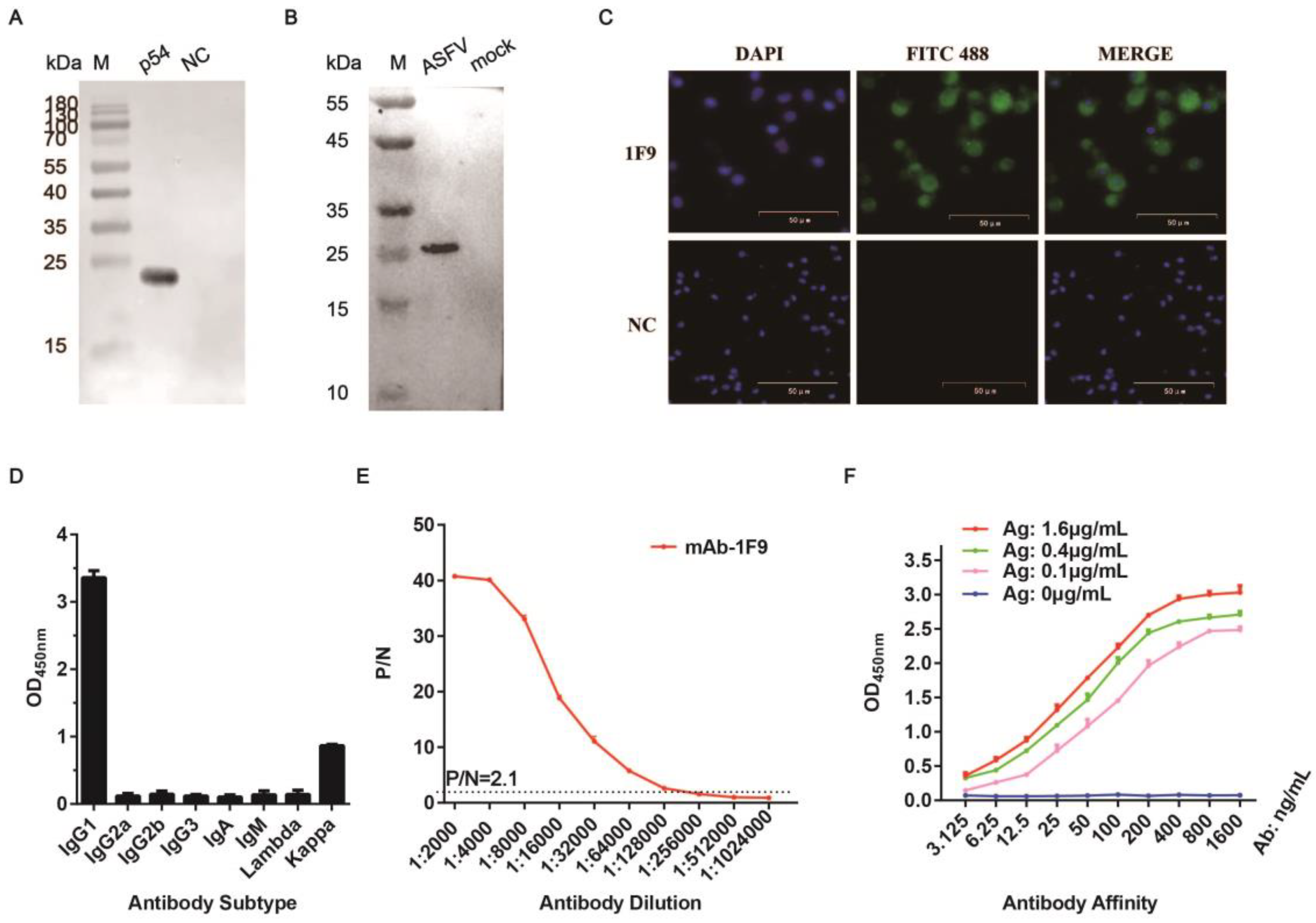 Viruses 17 00823 g003