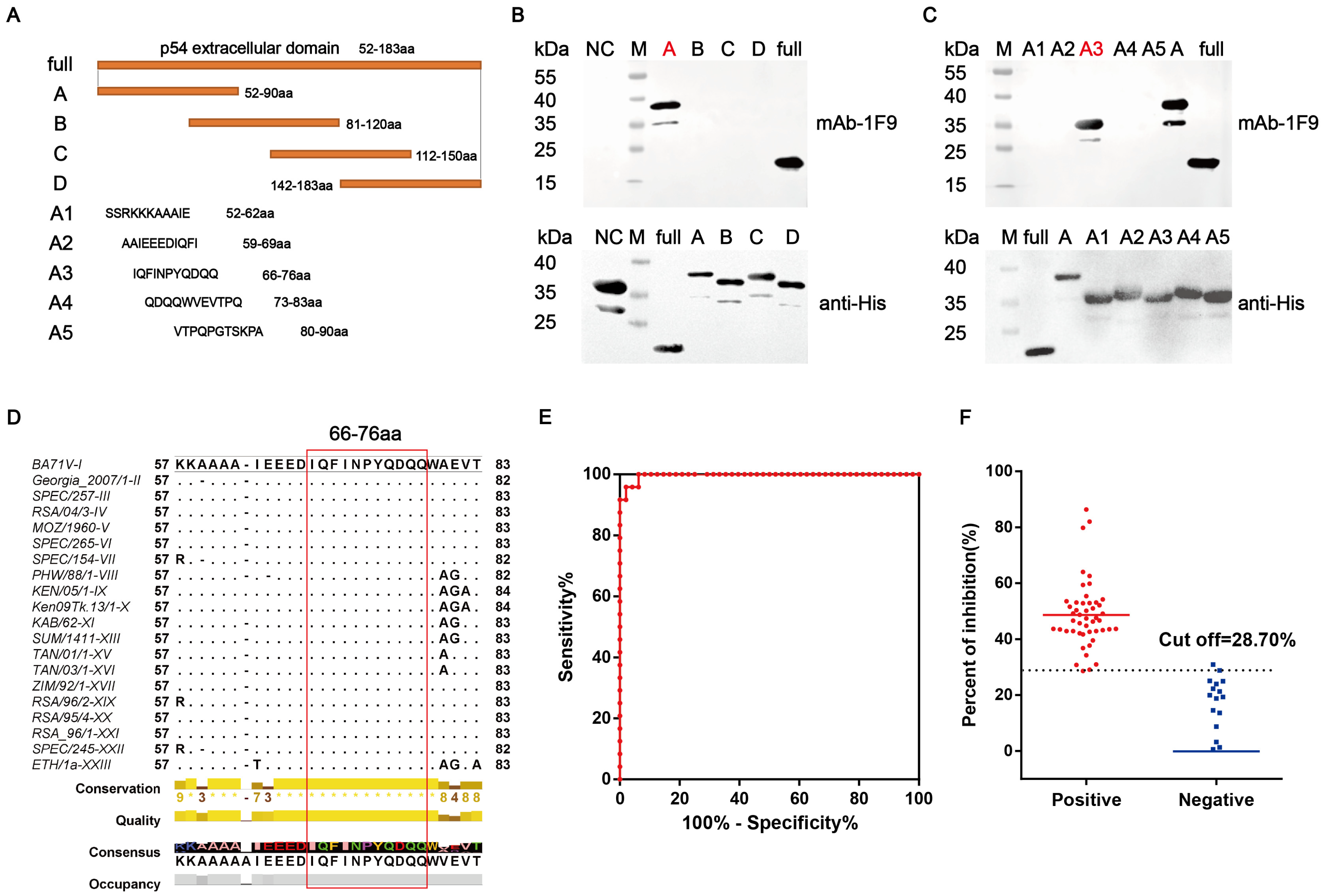 Viruses 17 00823 g004
