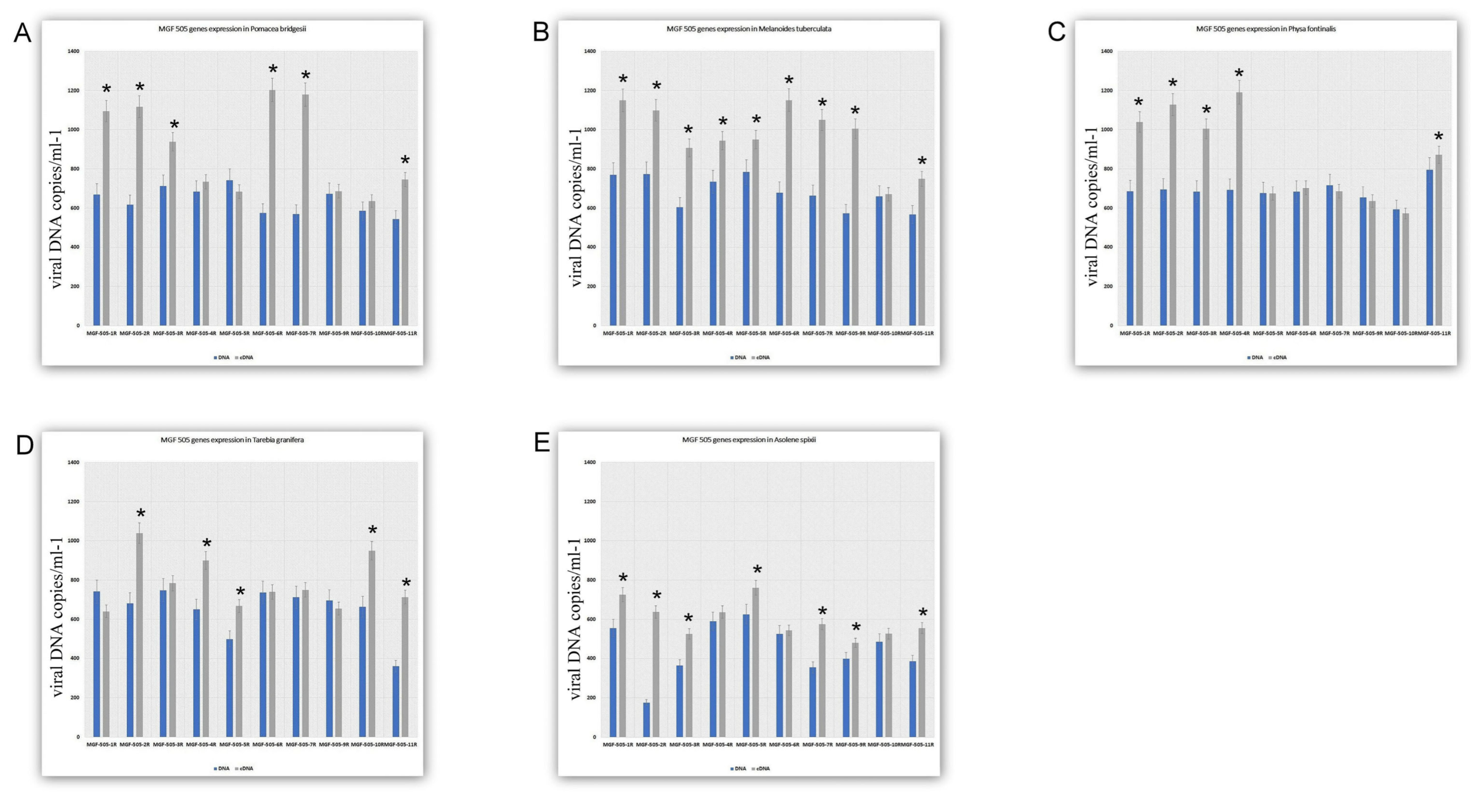 Viruses 17 00824 g004