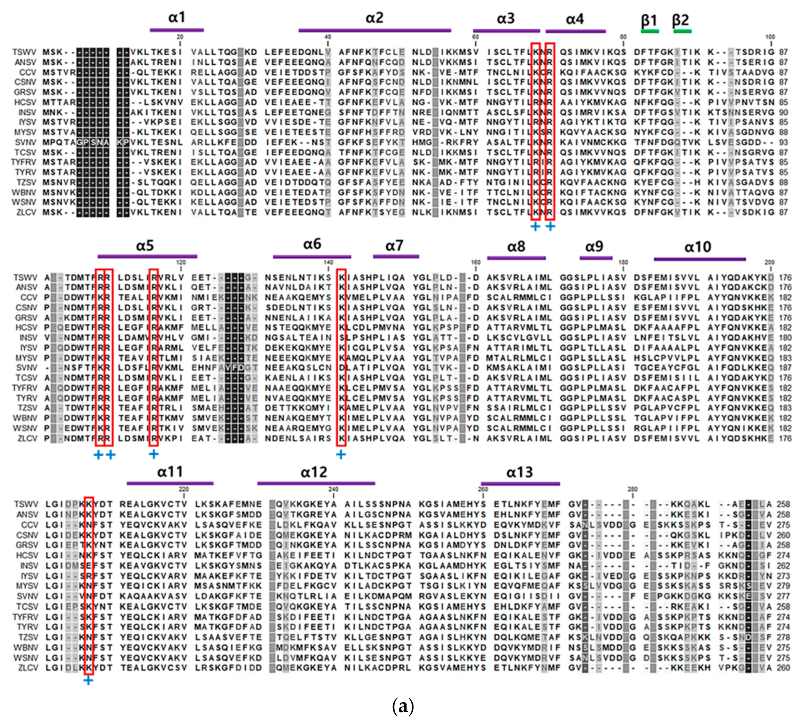 Viruses 17 00826 g001a