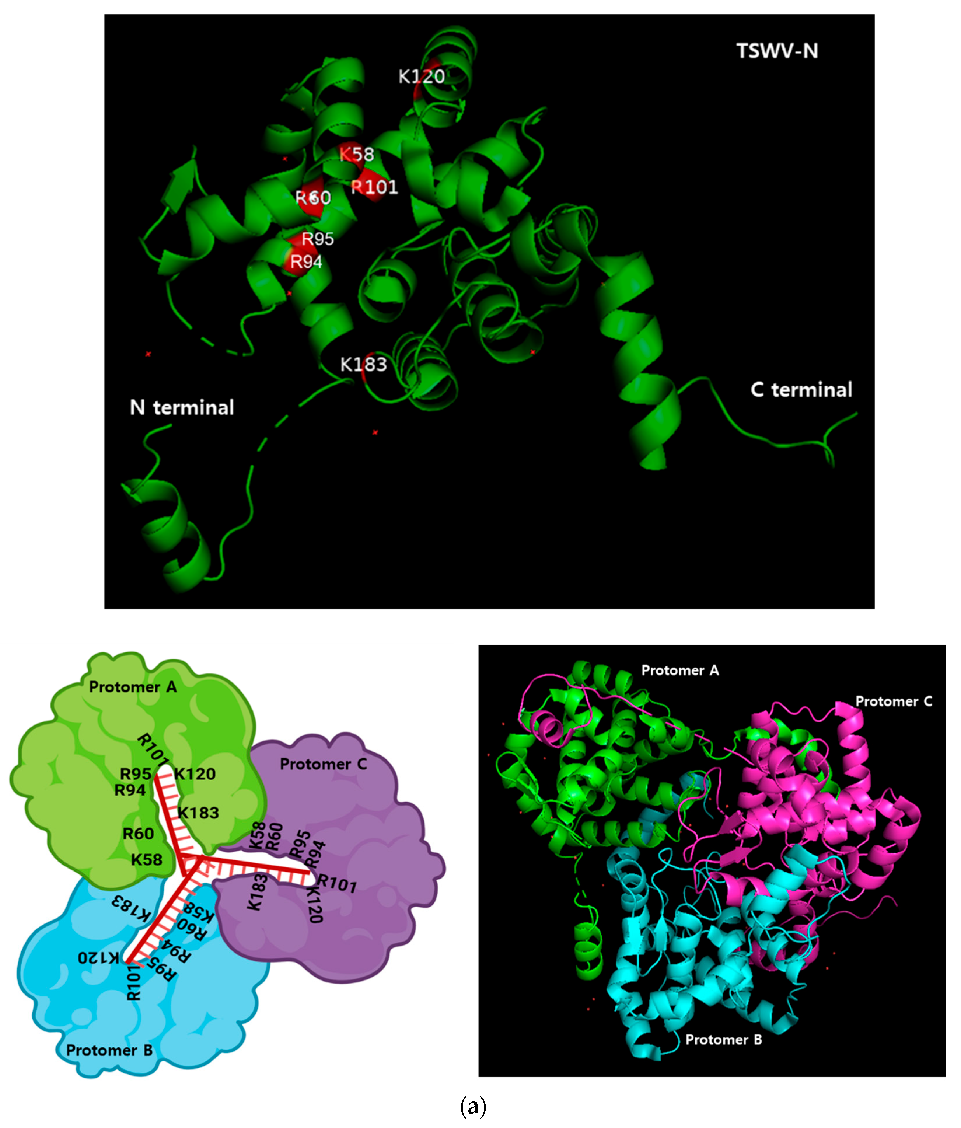 Viruses 17 00826 g003a