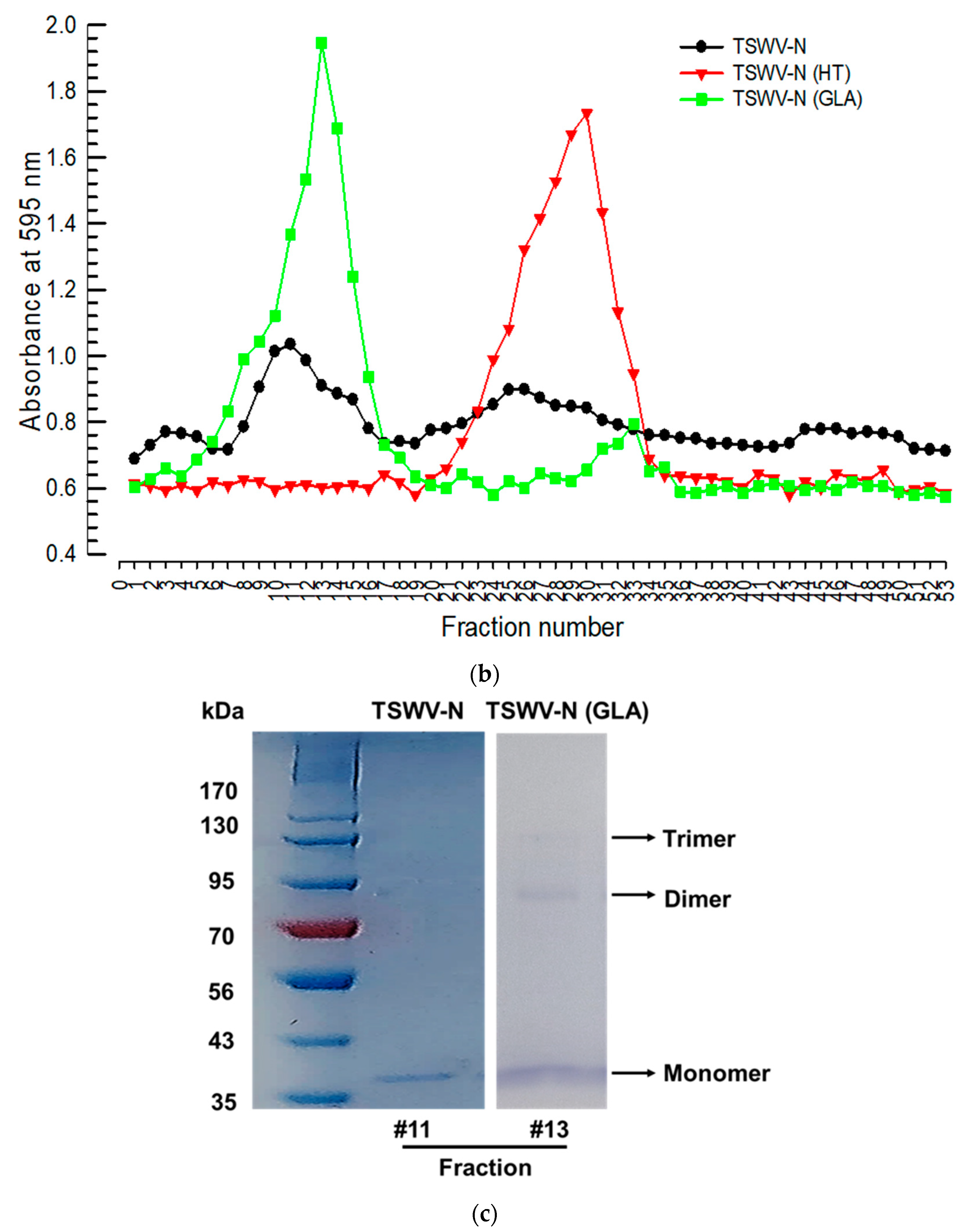 Viruses 17 00826 g003b