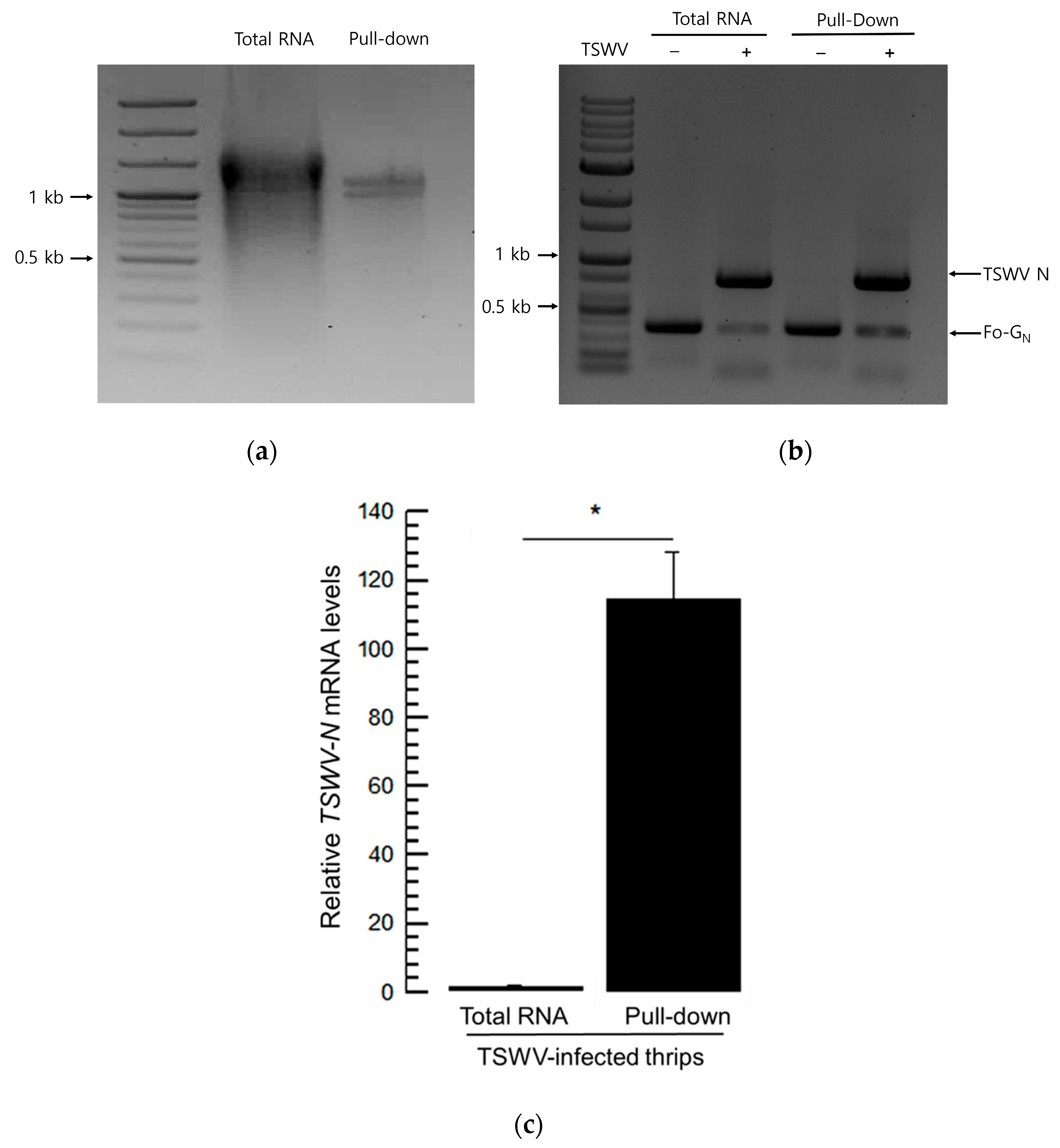 Viruses 17 00826 g005