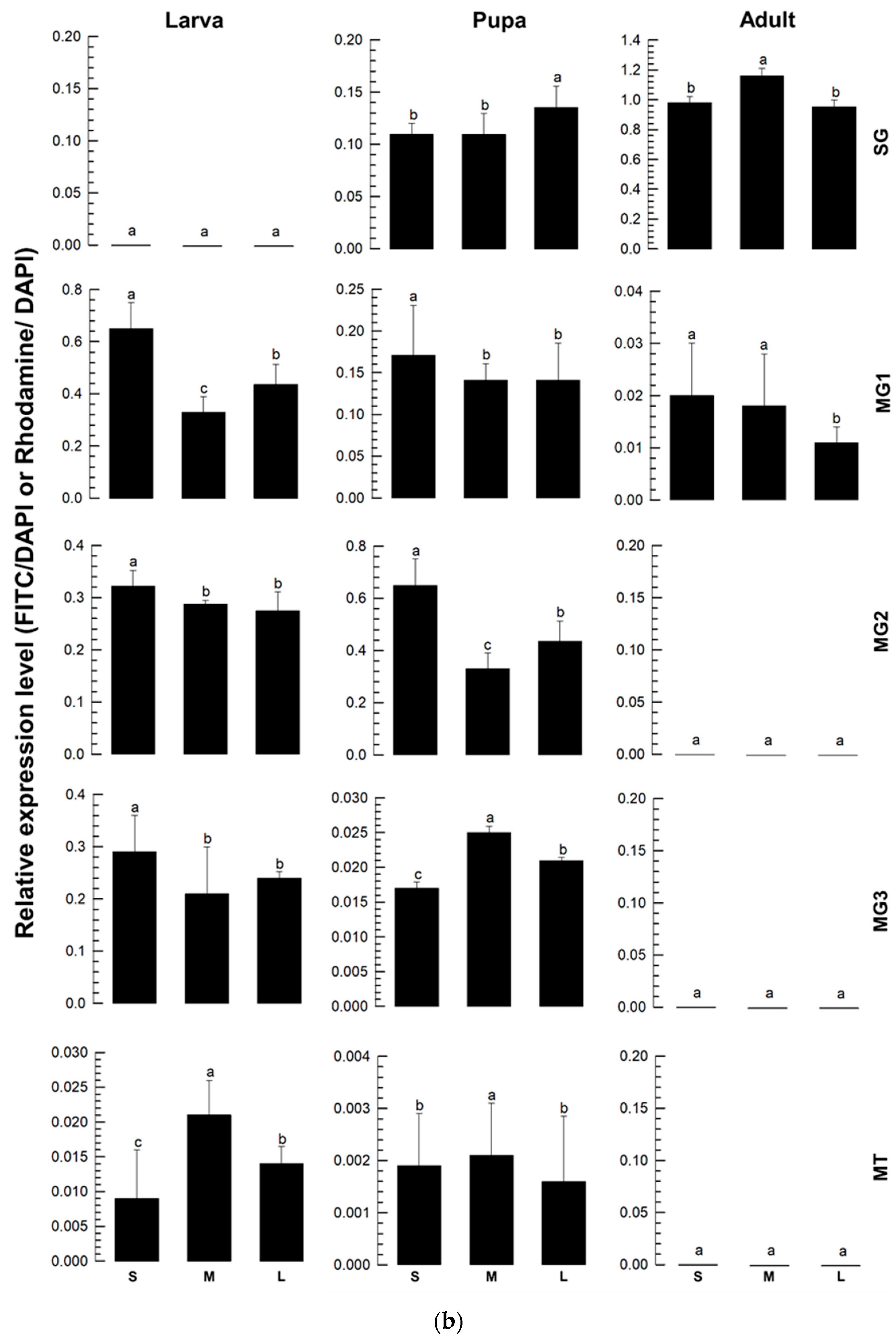 Viruses 17 00826 g006b