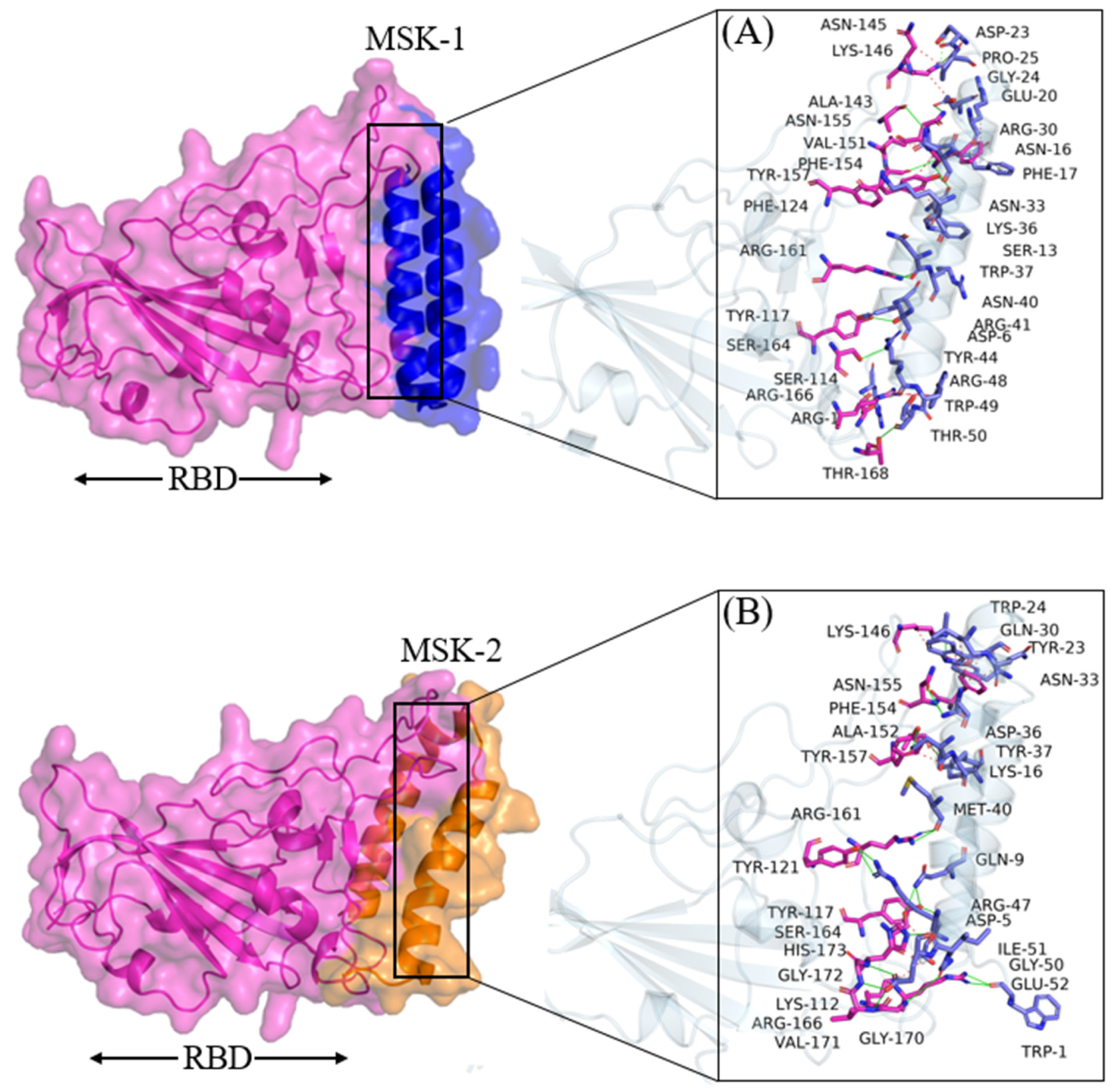 Viruses 17 00828 g003