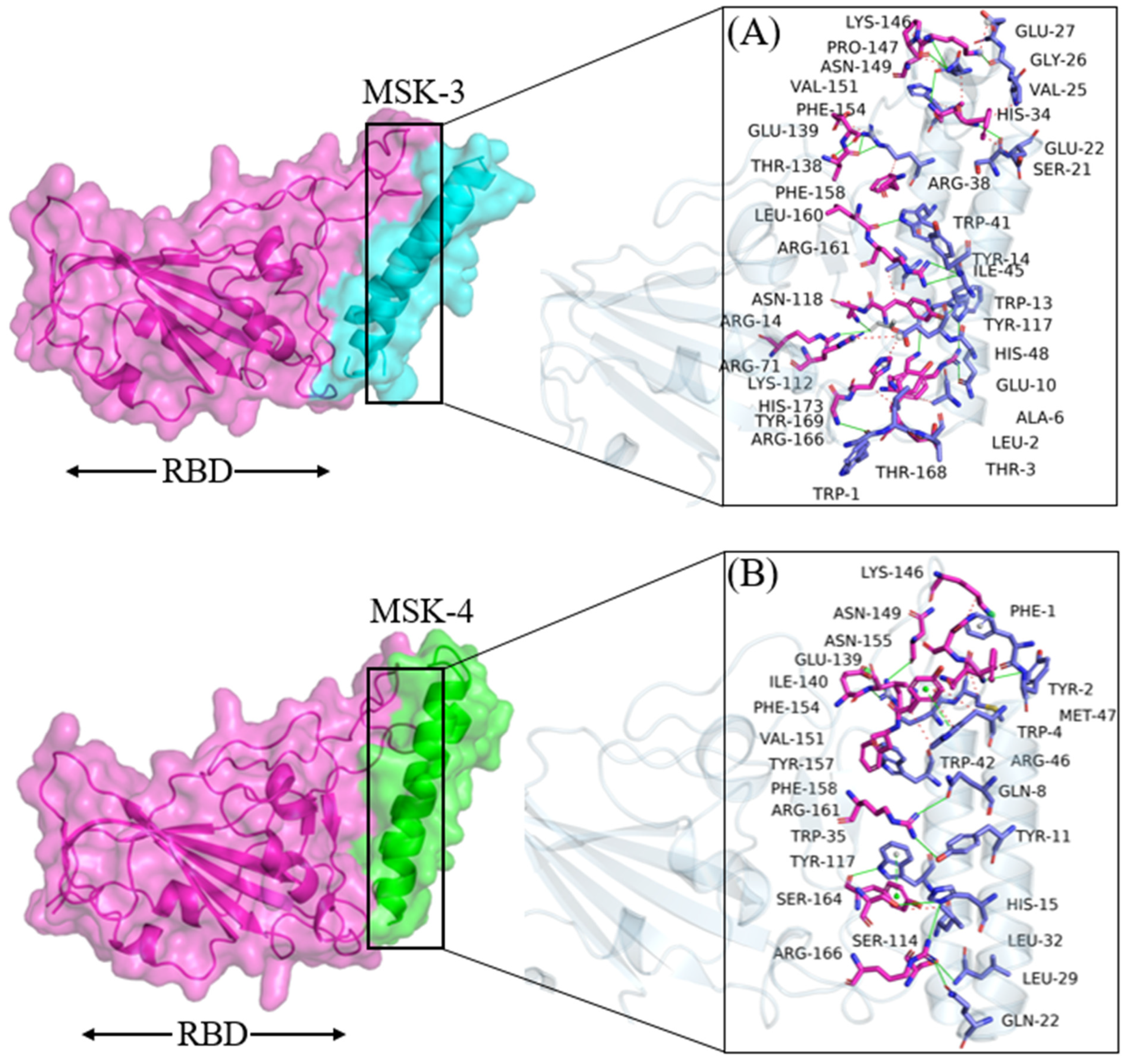 Viruses 17 00828 g004