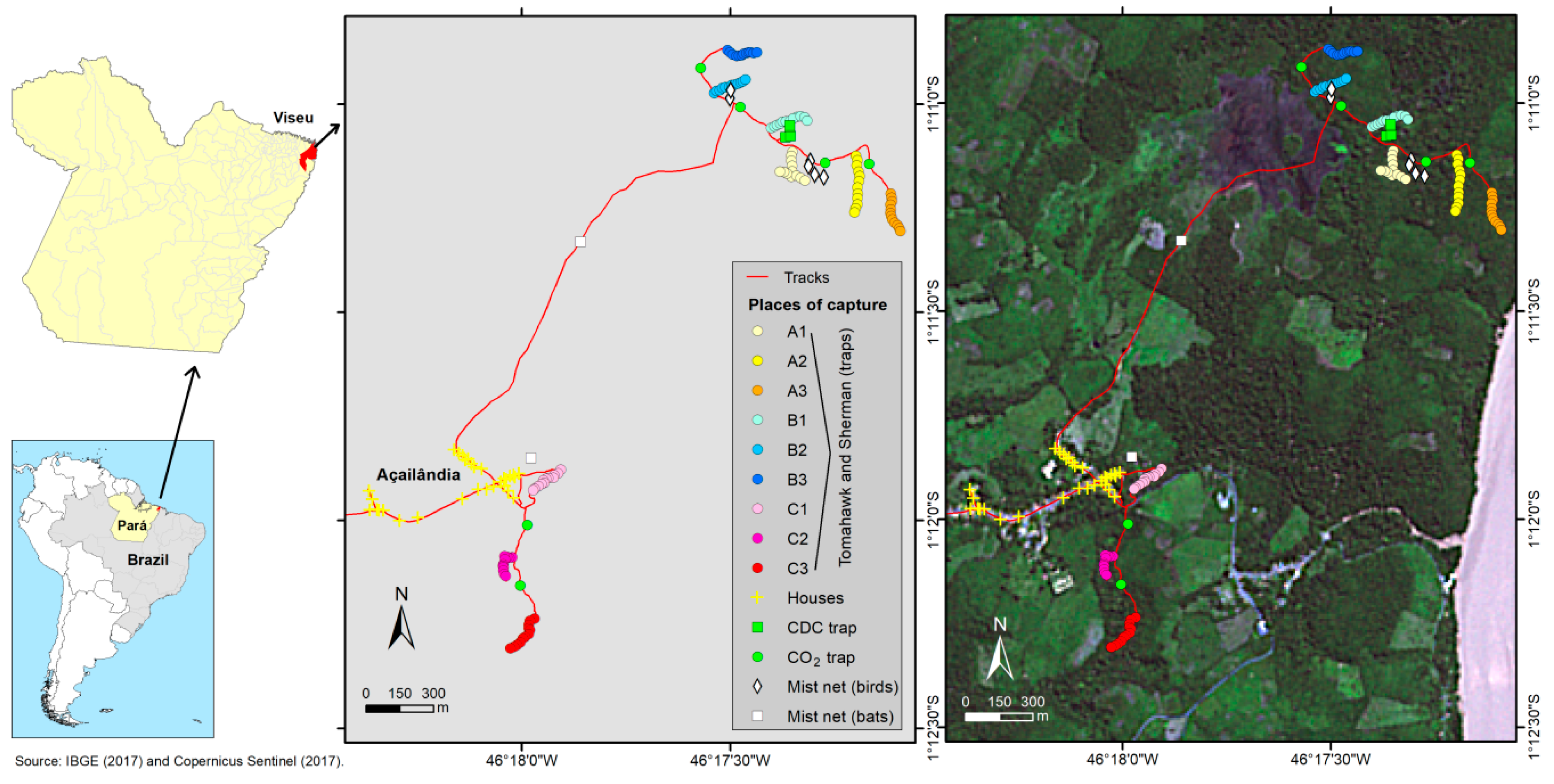 Viruses 17 00830 g001