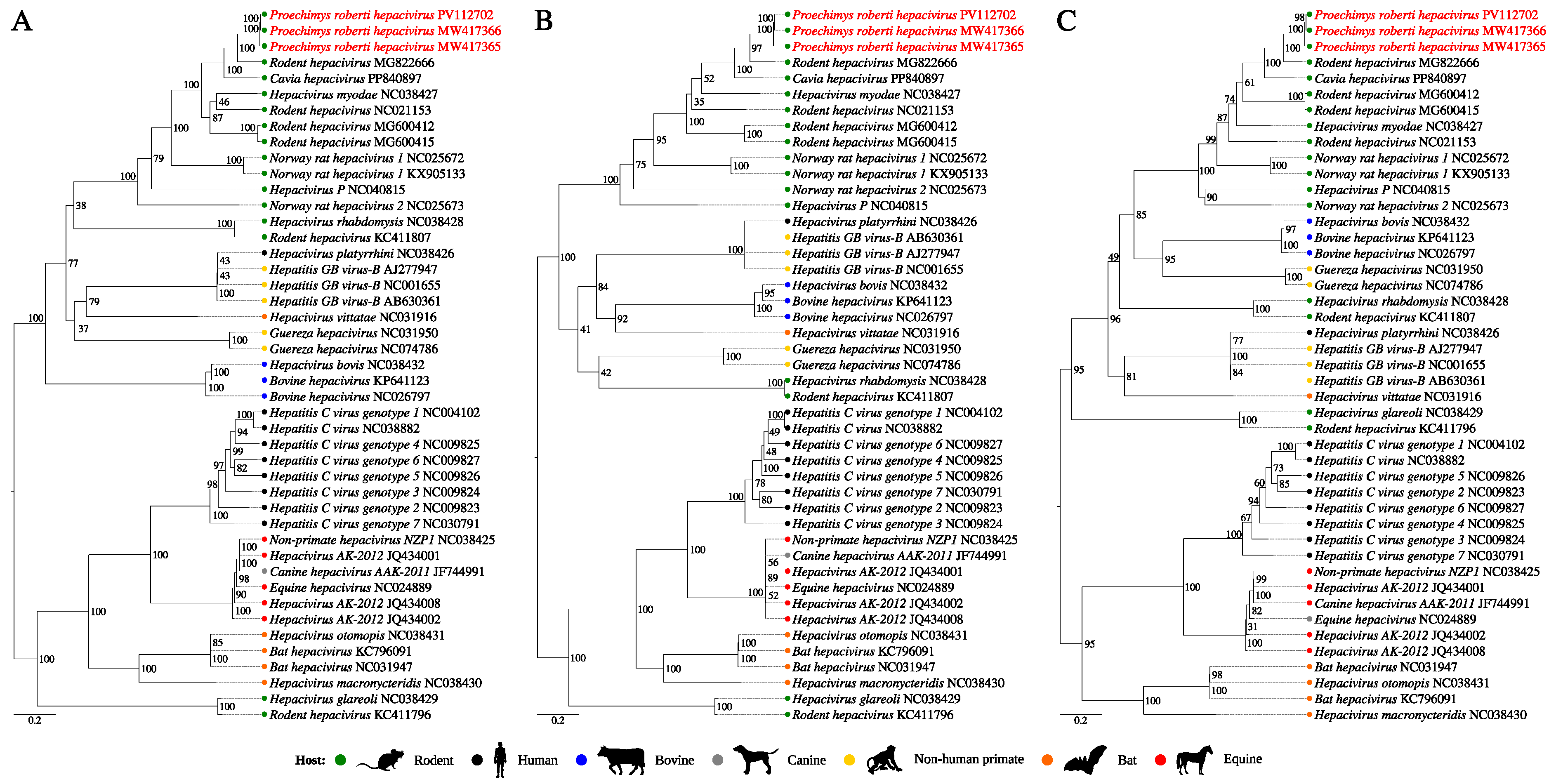 Viruses 17 00830 g004