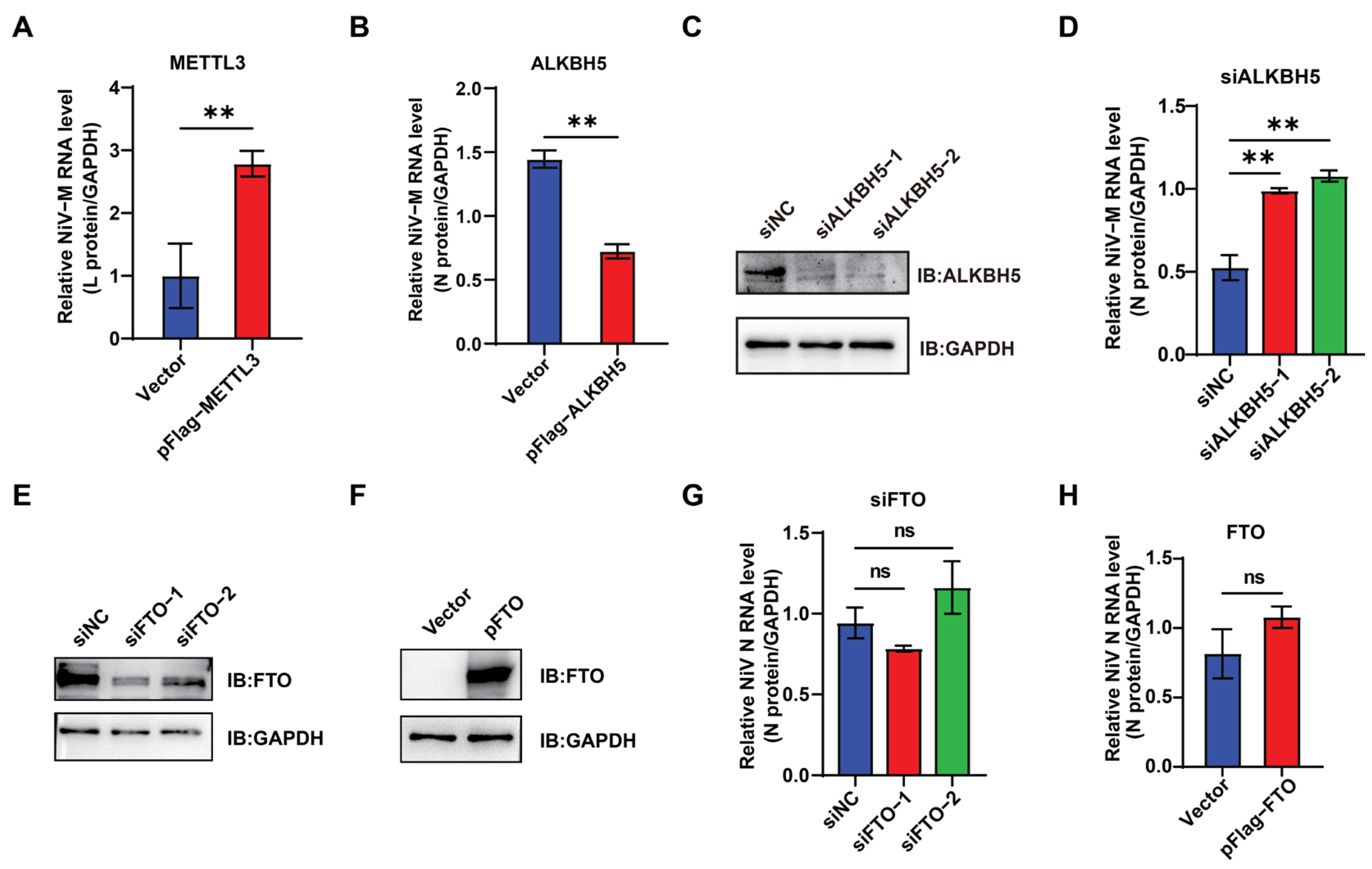 Viruses 17 00831 g004