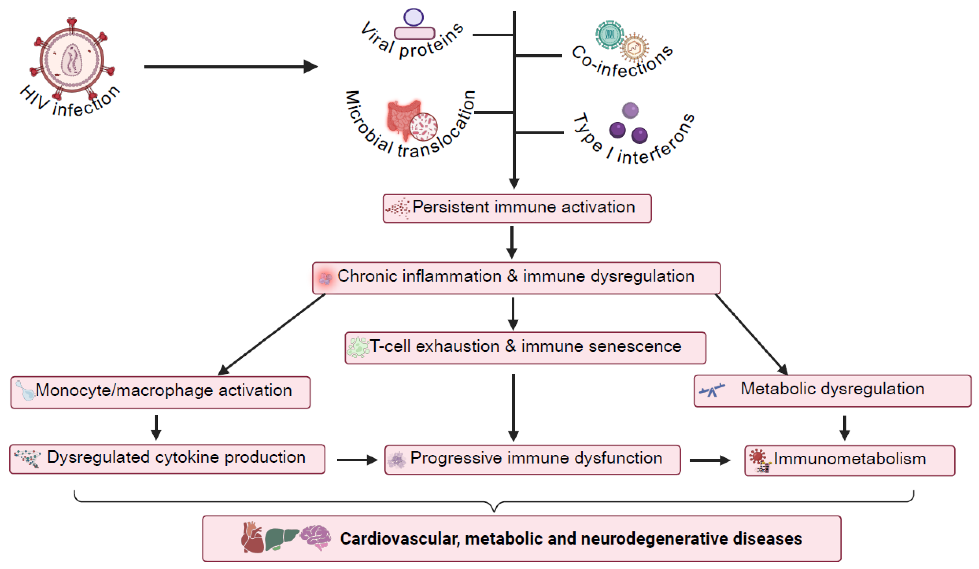 Viruses 17 00839 g001