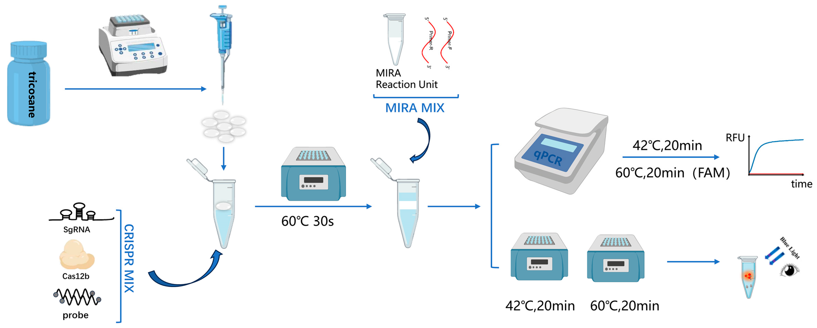 Viruses 17 00841 g001