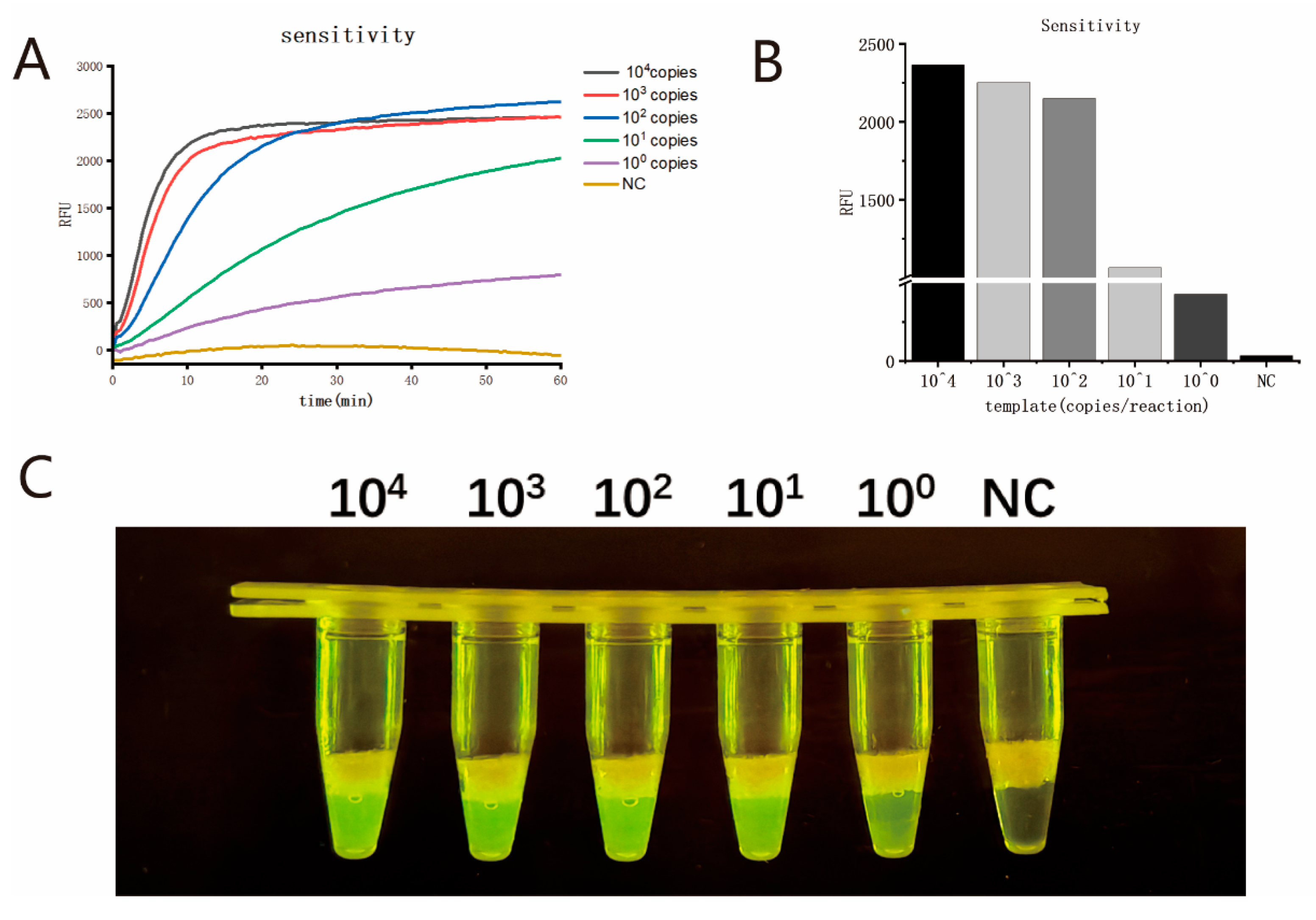 Viruses 17 00841 g004