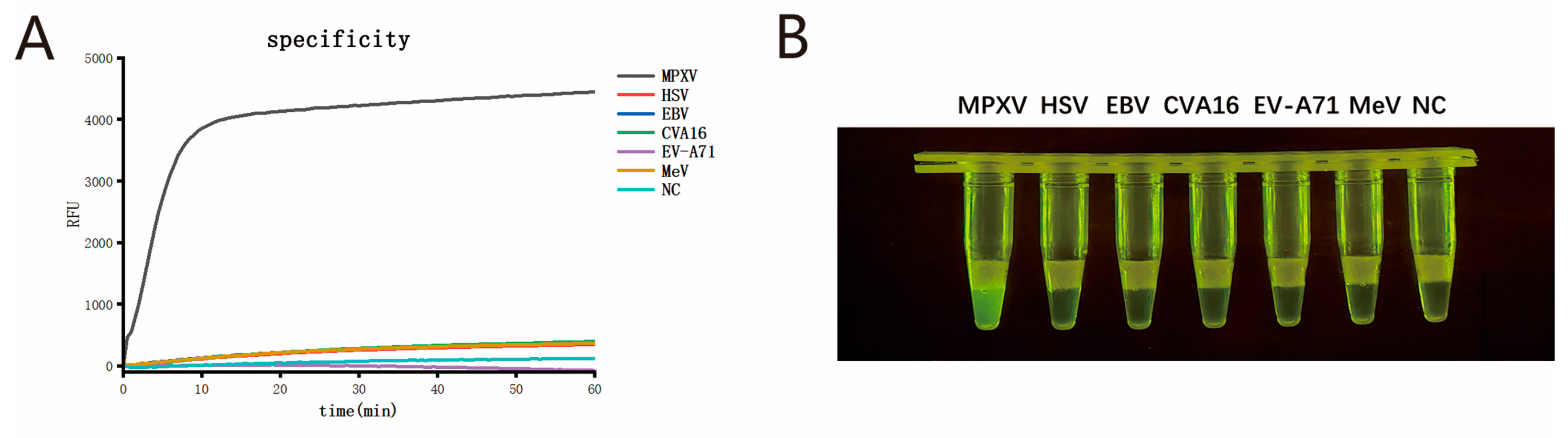 Viruses 17 00841 g005