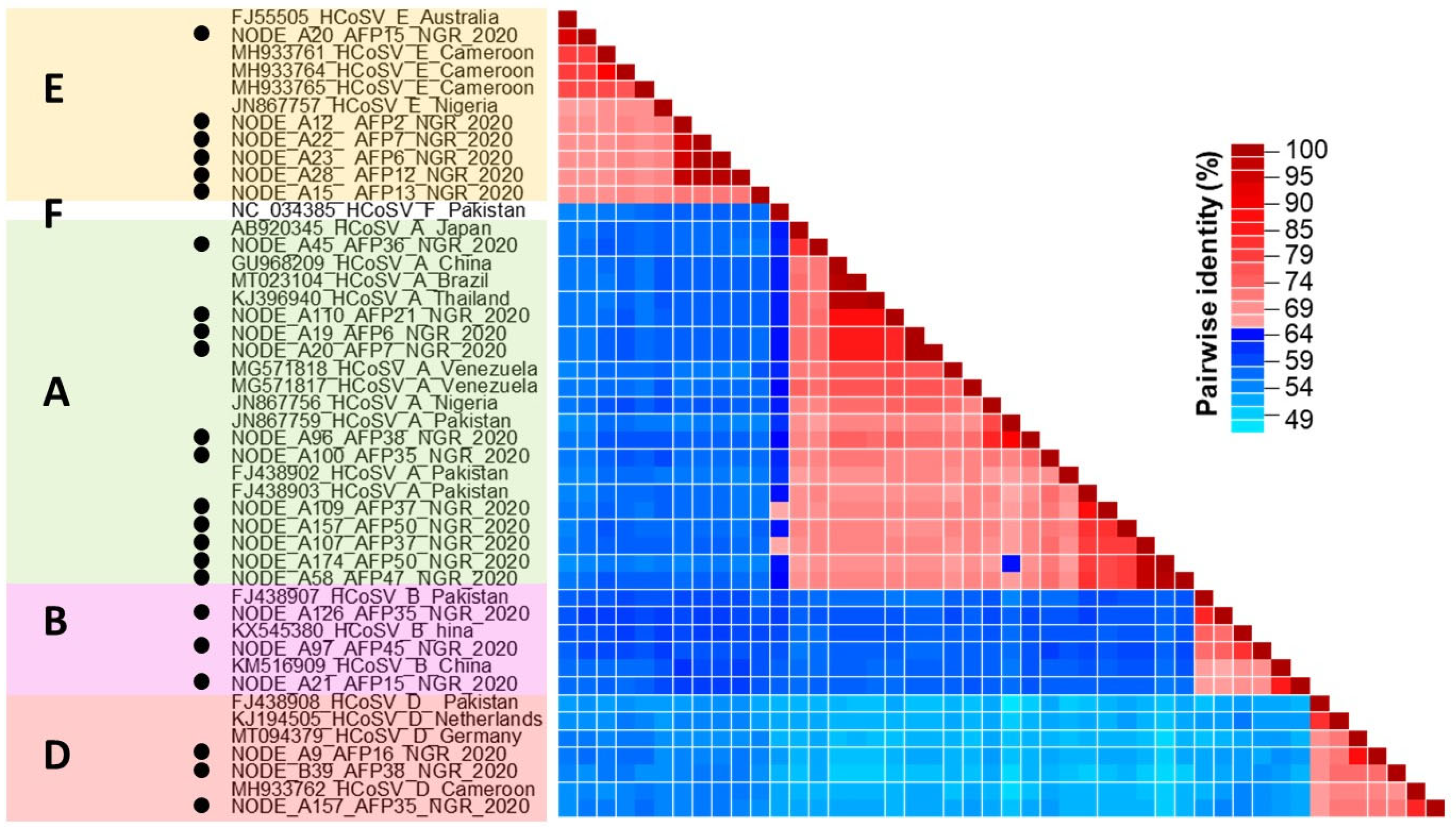 Viruses 17 00844 g002