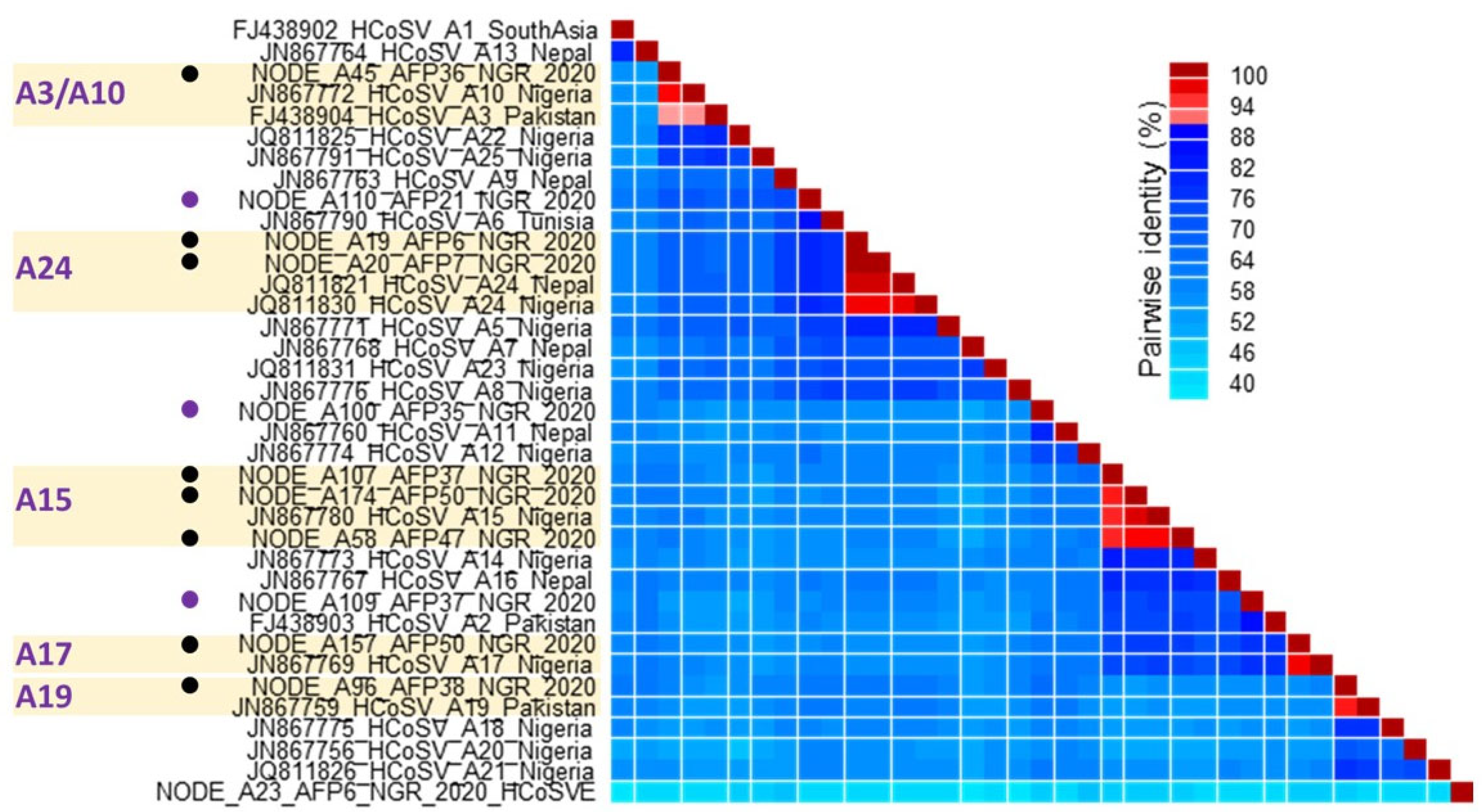Viruses 17 00844 g003