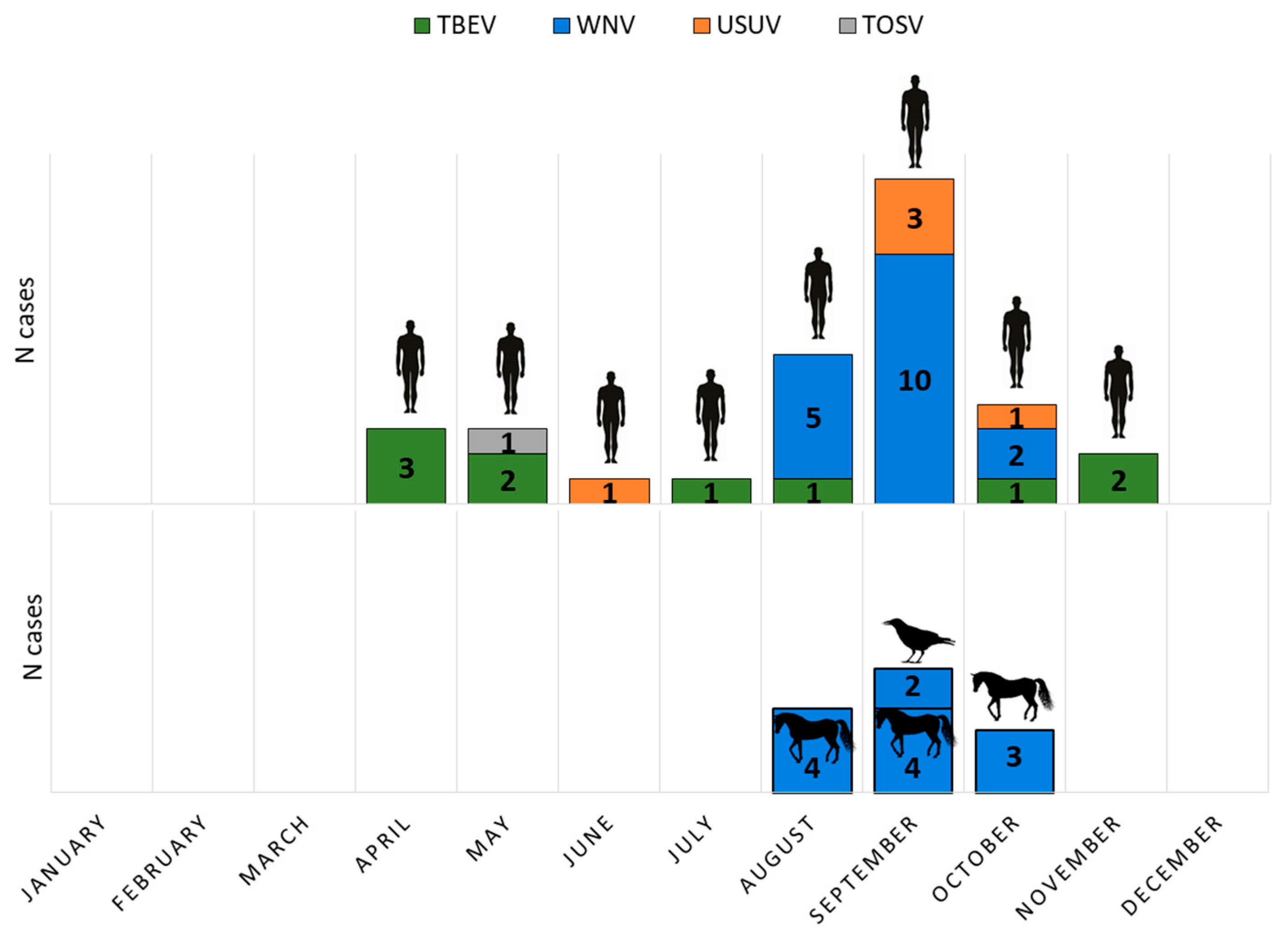 Viruses 17 00846 g001