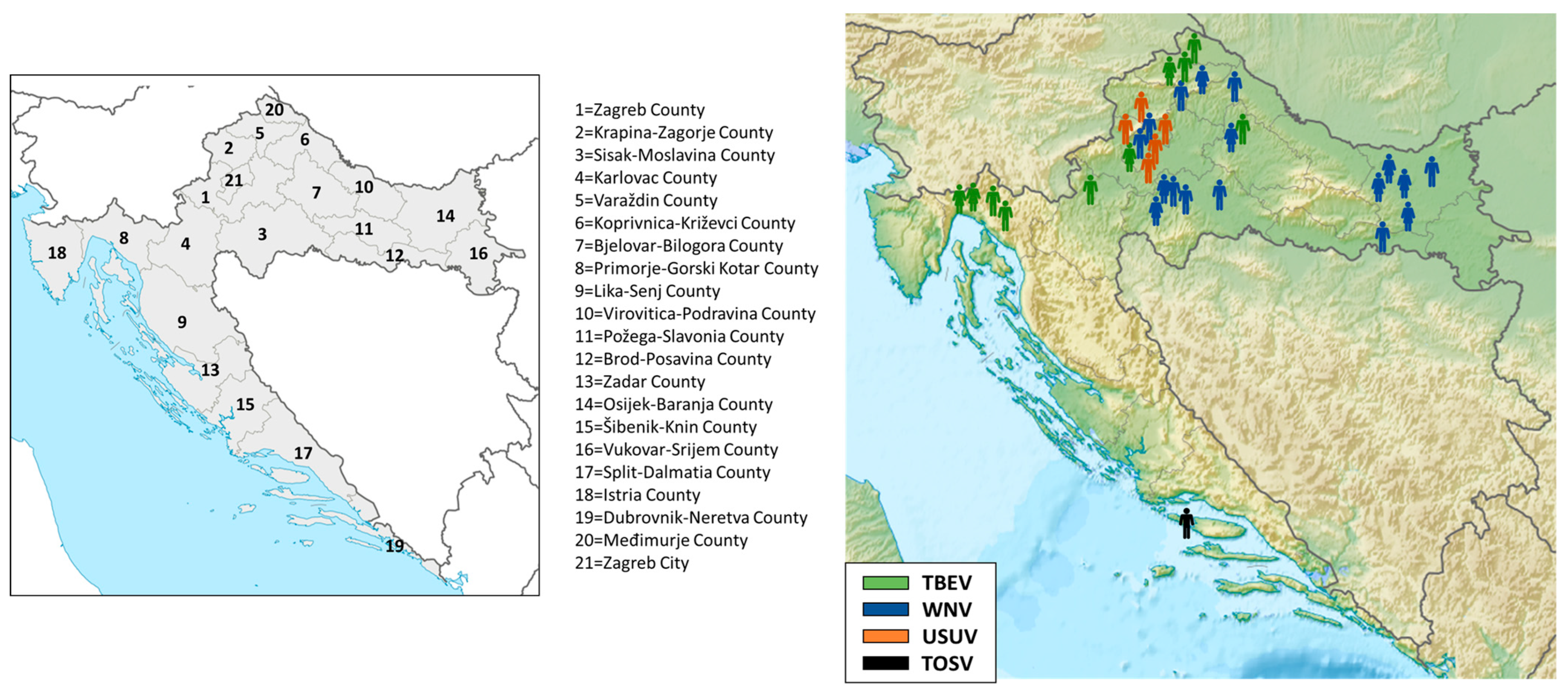 Viruses 17 00846 g002