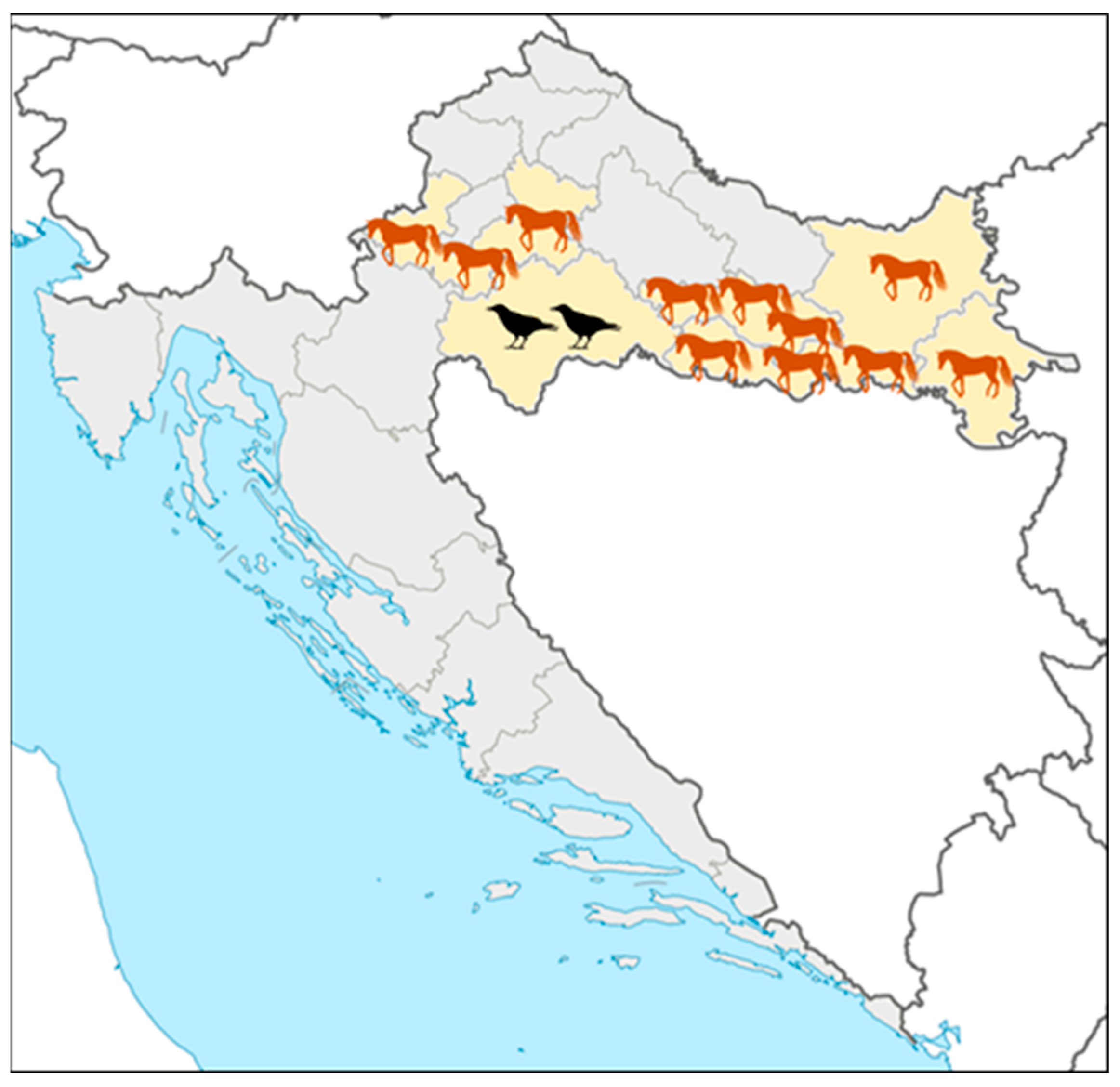 Viruses 17 00846 g003