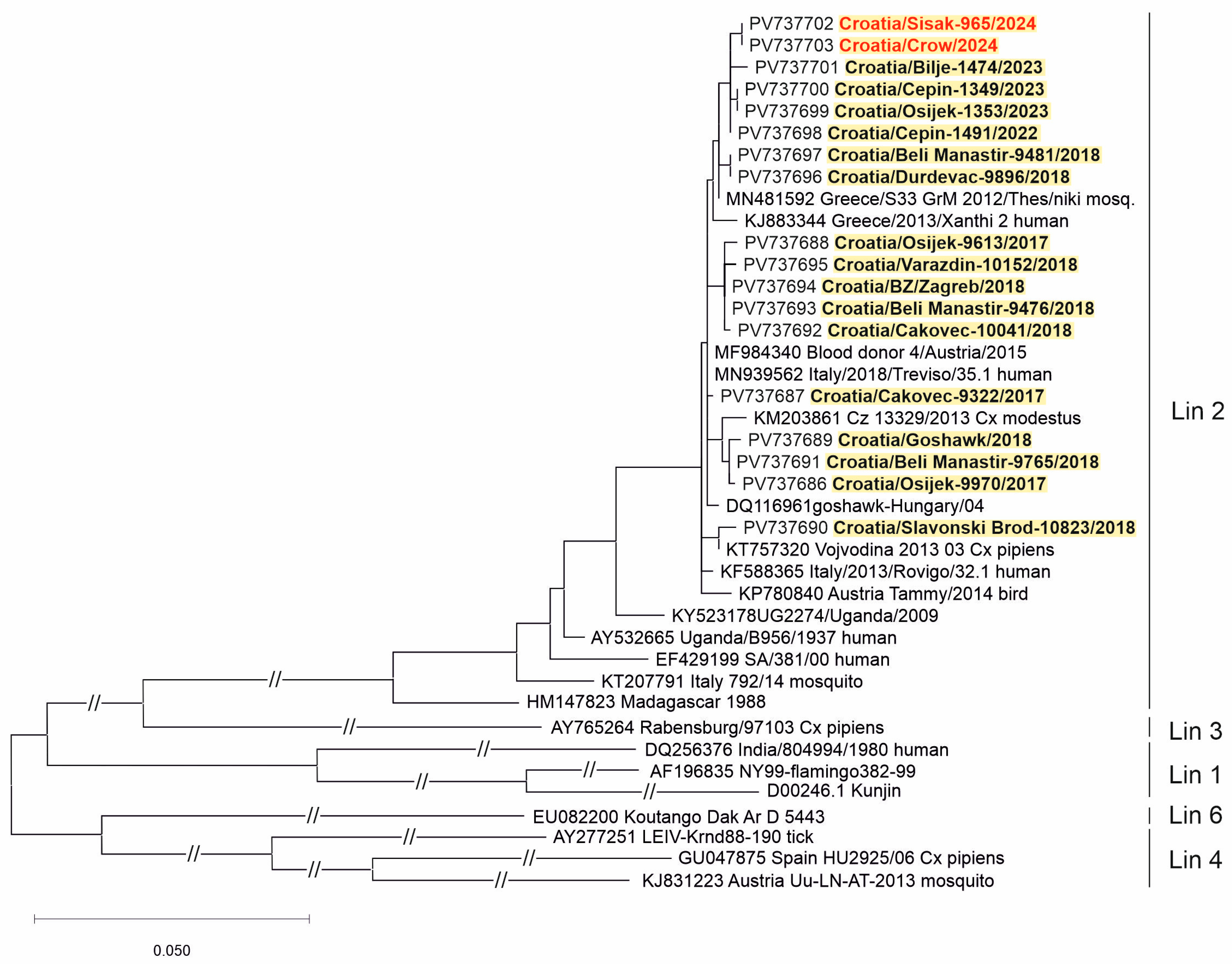 Viruses 17 00846 g005