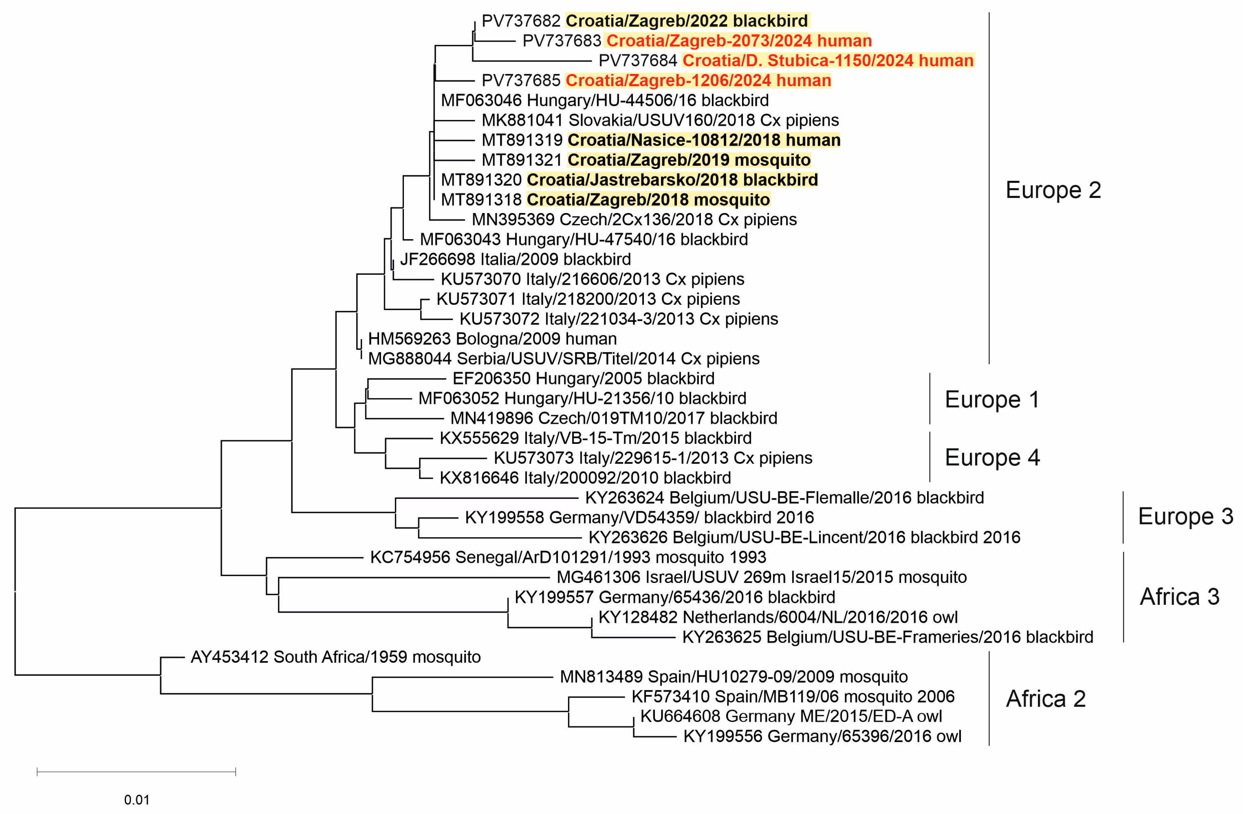 Viruses 17 00846 g006
